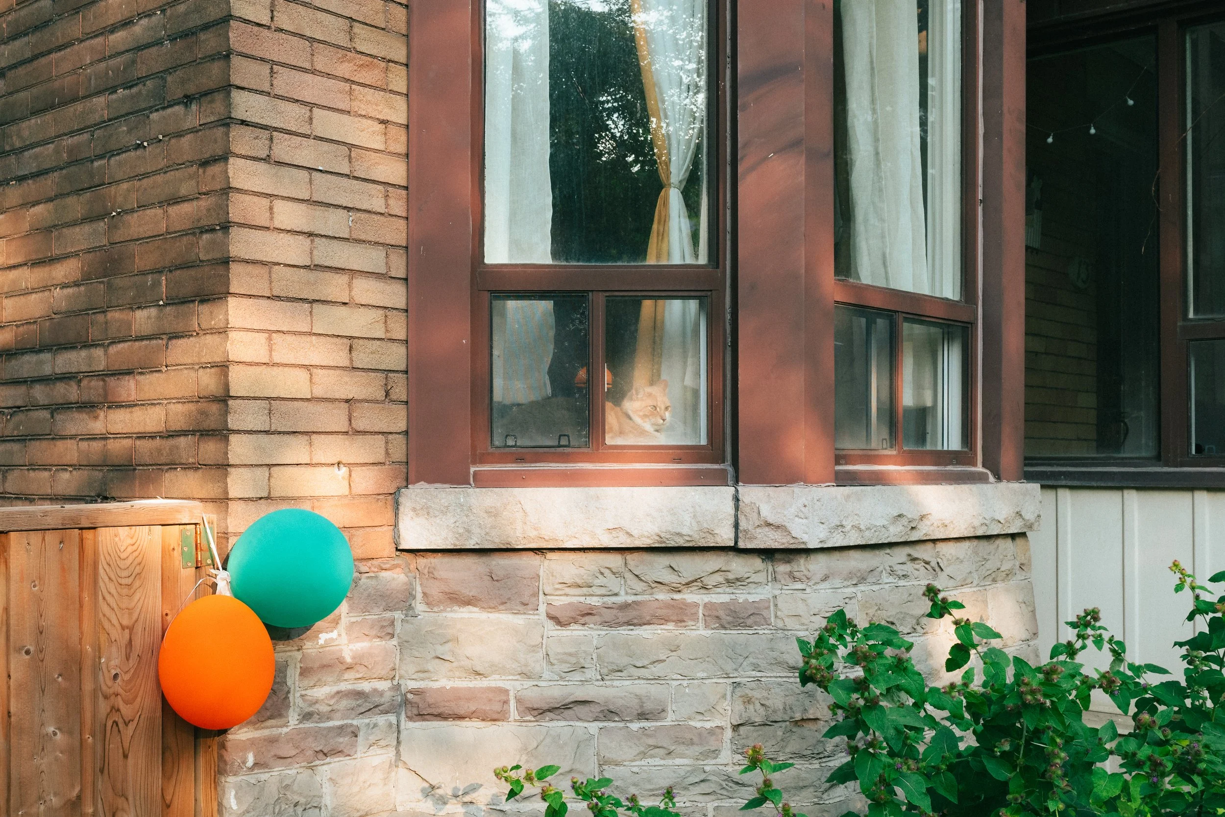 2026.07.25 - Mix Up-24.jpg