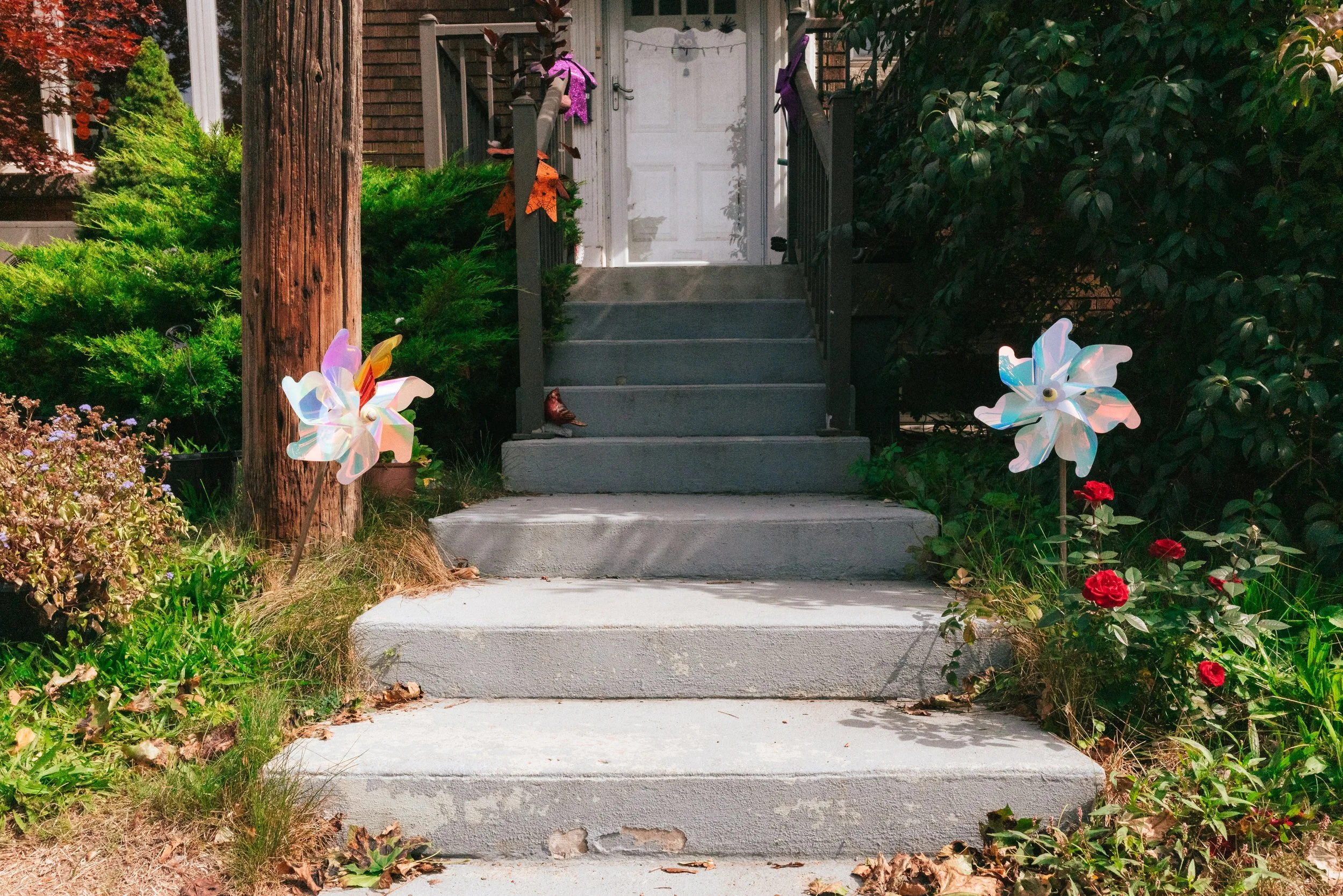 2026.09.30 - Bits of Summer - Bits of Fall-13.jpg
