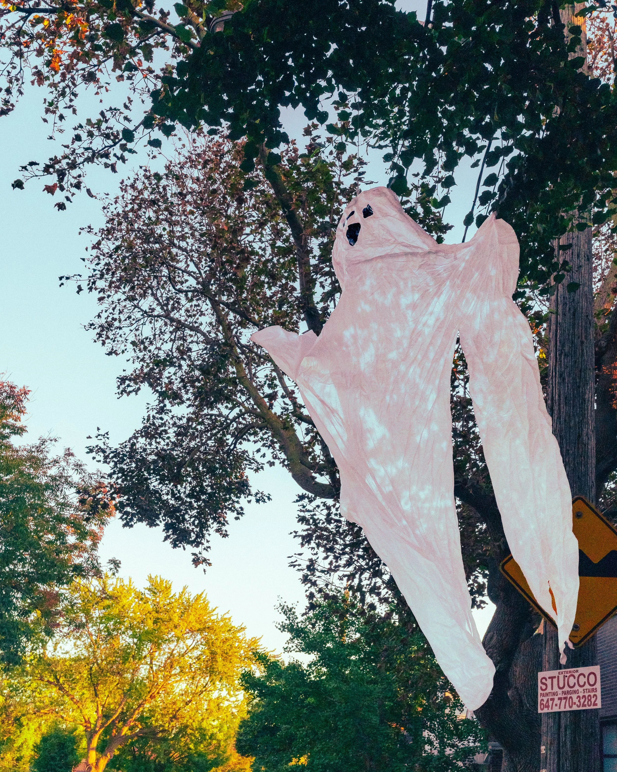 2026.09.30 - Bits of Summer - Bits of Fall-3.jpg