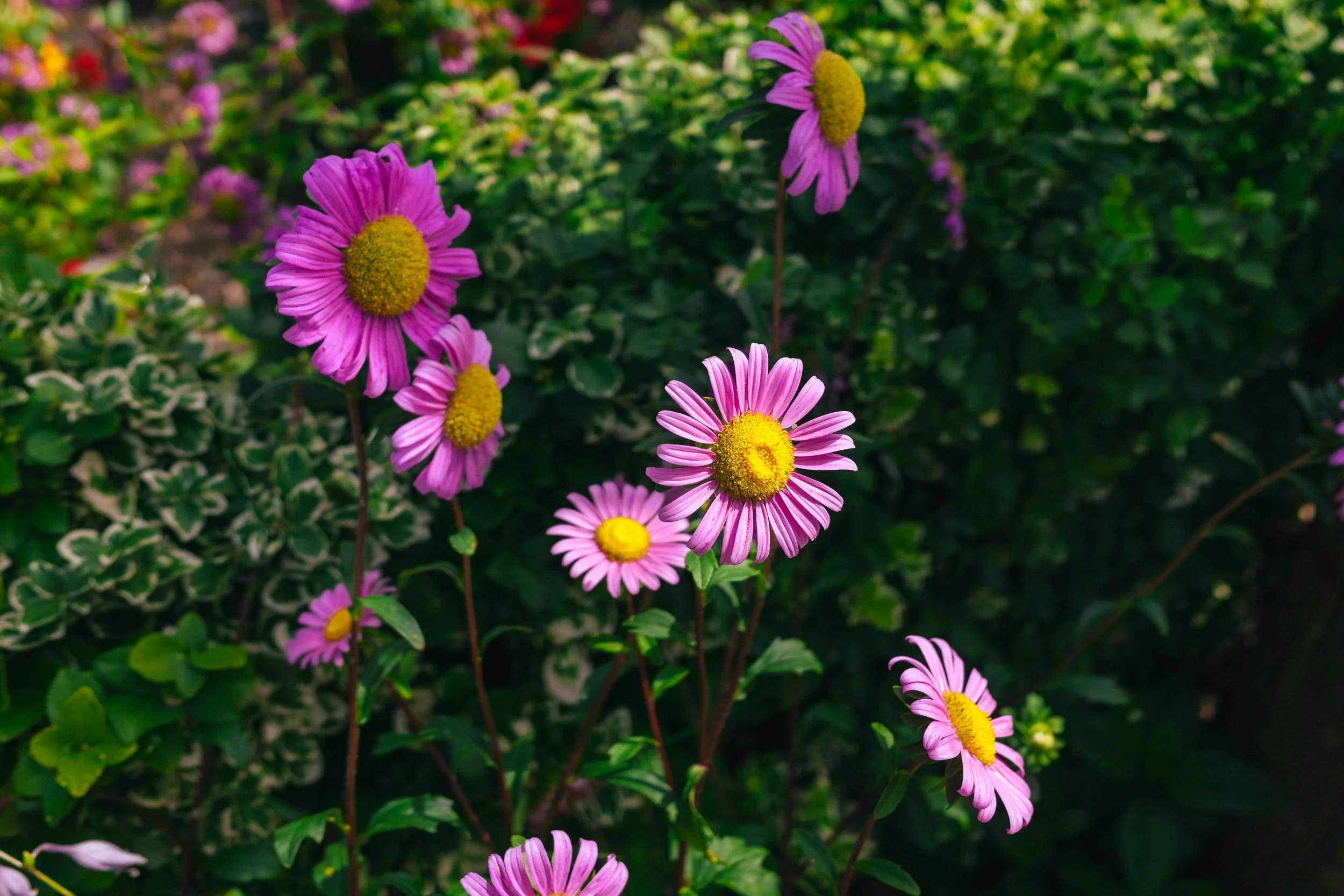 2026.09.30 - Bits of Summer - Bits of Fall-1.jpg