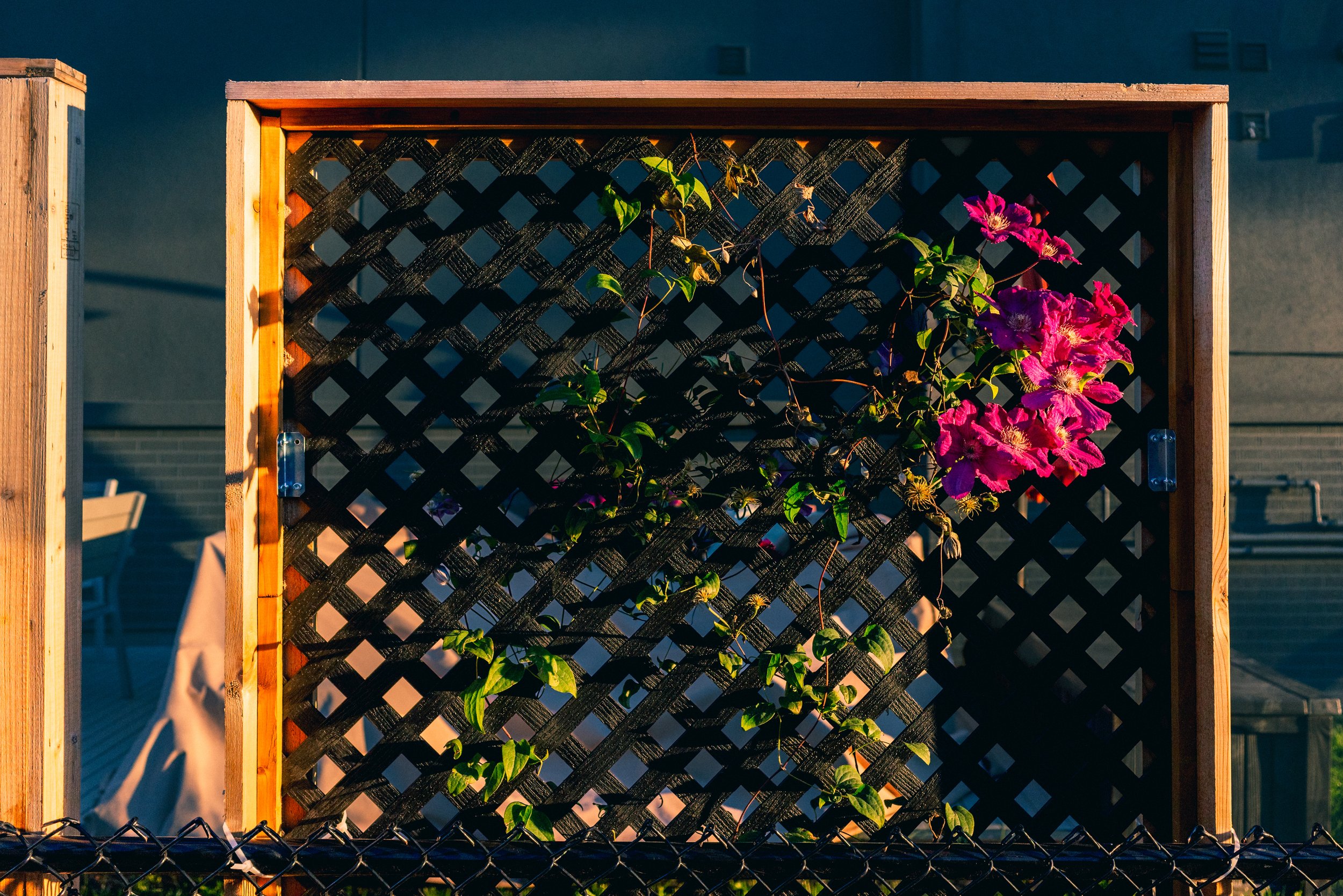 2026.09.30 - Bits of Summer - Bits of Fall-2.jpg