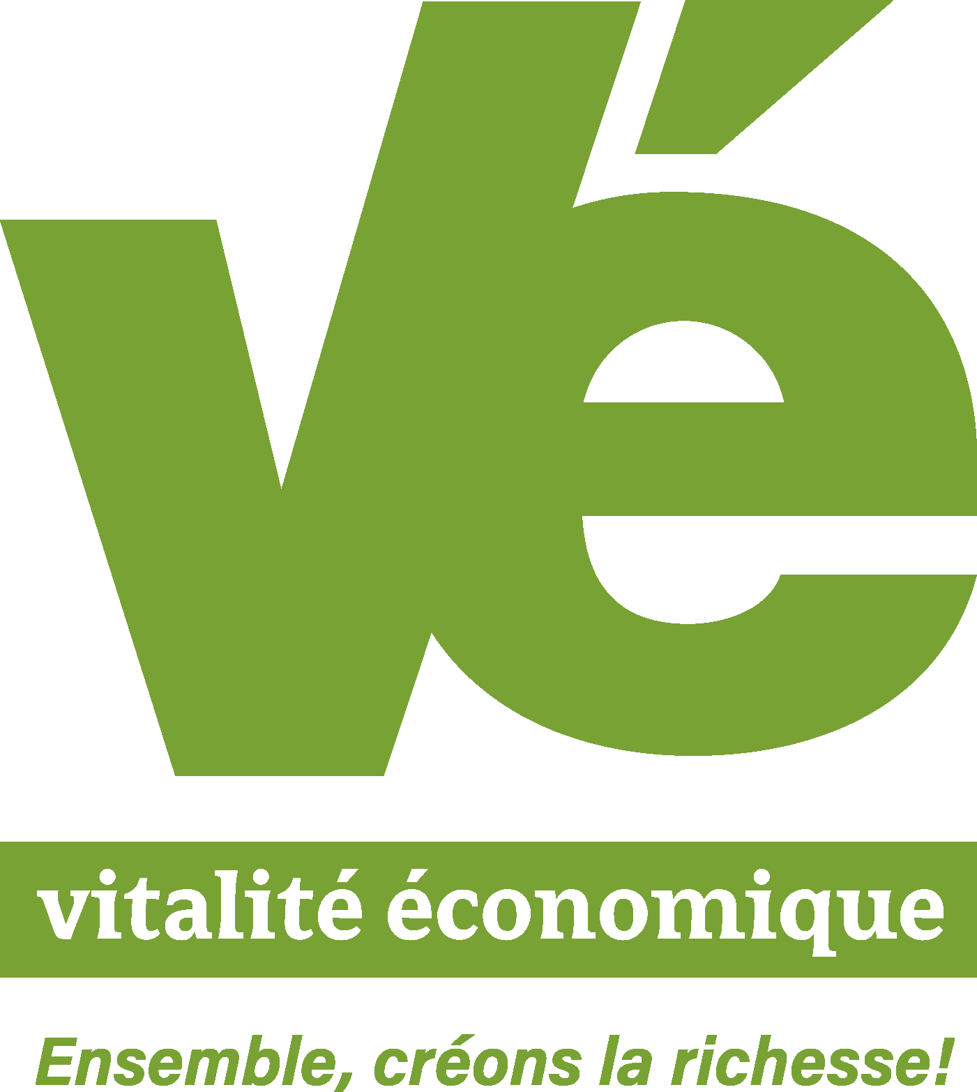 logo-ve-couleurs.png