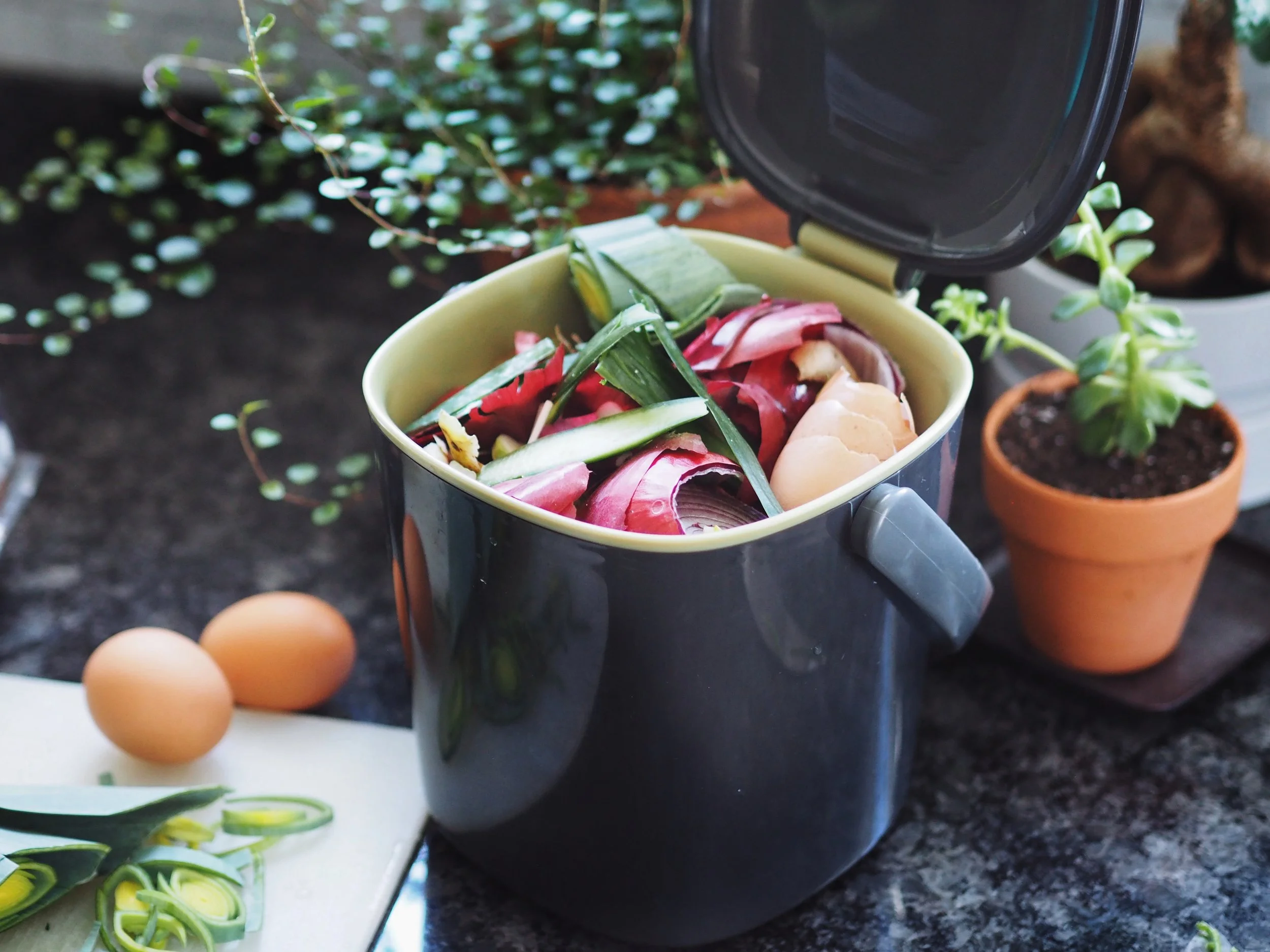 I usually keep my home composting bin under the kitchen sink but place it on the counter when I start to cook. This makes it extra-easy to keep my workspace clean and ensures that all of my scraps make their way into the bin.
