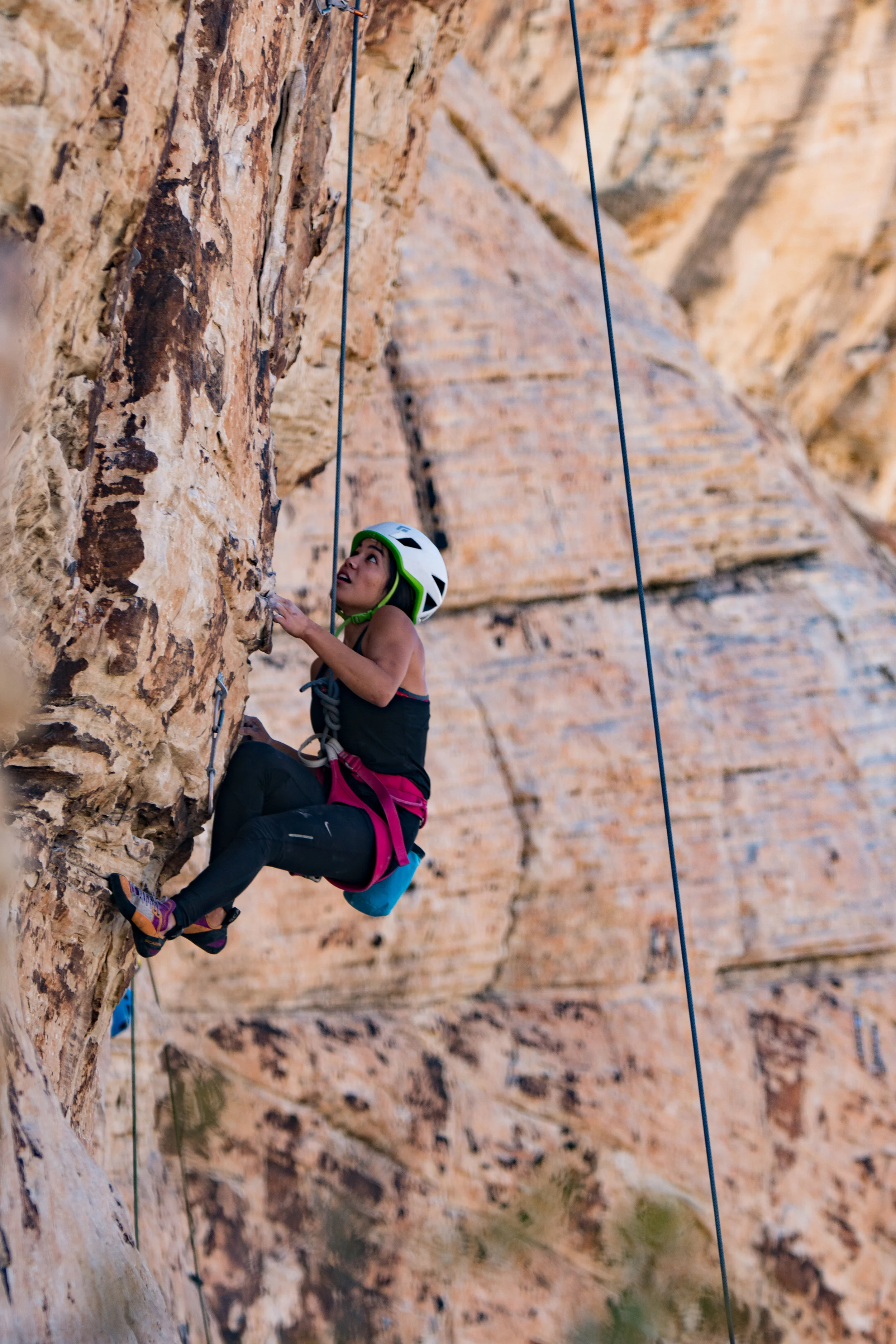 Book review: Who can you trust? Rachel Botsman