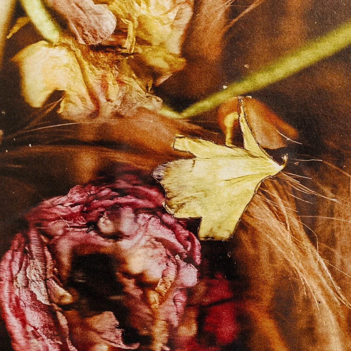 AnaKoehler_2026_SoapboxArts_webopt_30.jpg