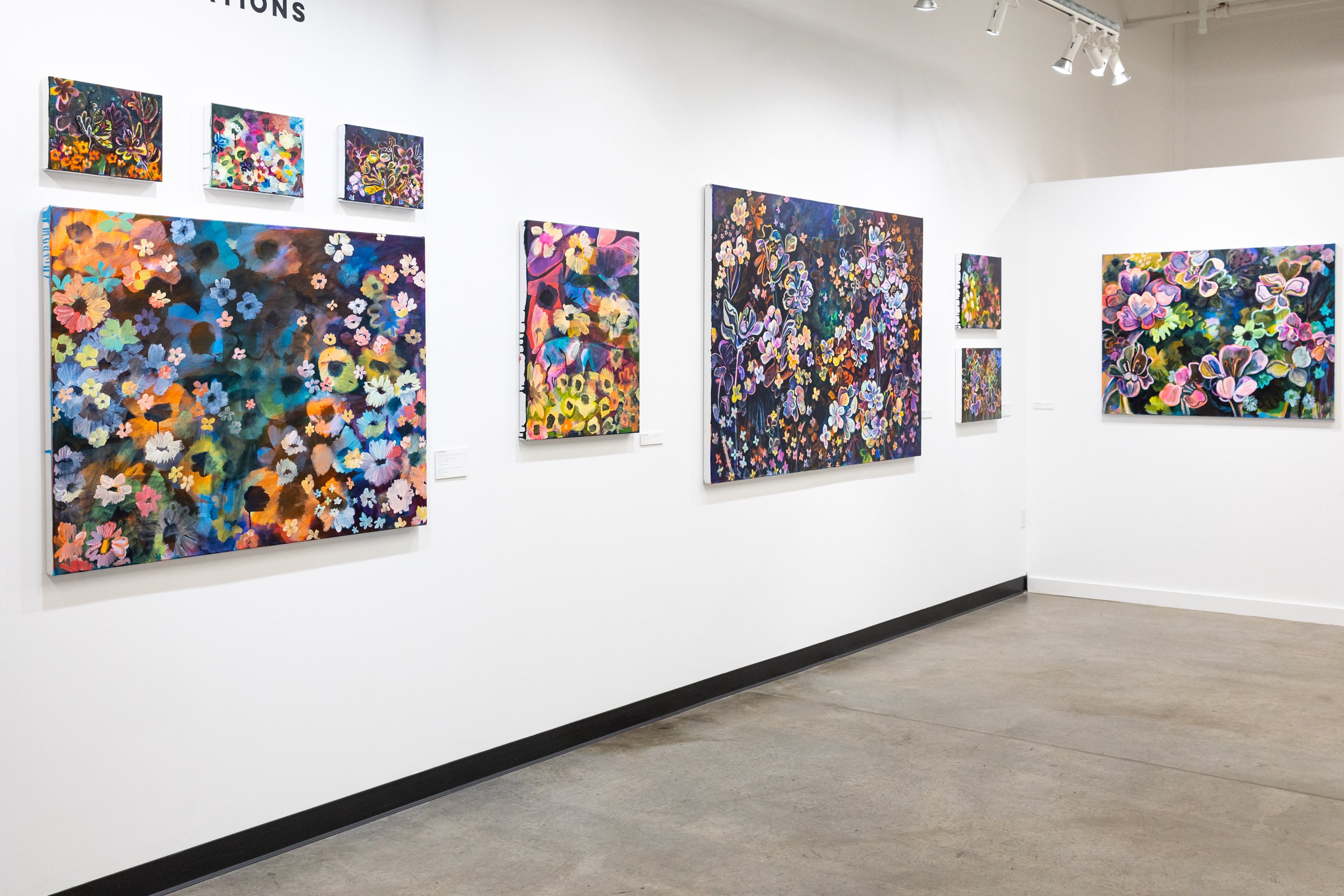 Exhibition Installation of 'Tending Constellations' featuring original acrylic paintings by Vermont artist, Wylie Garcia, at Soapbox Arts Gallery in Burlington, Vermont (Copy)