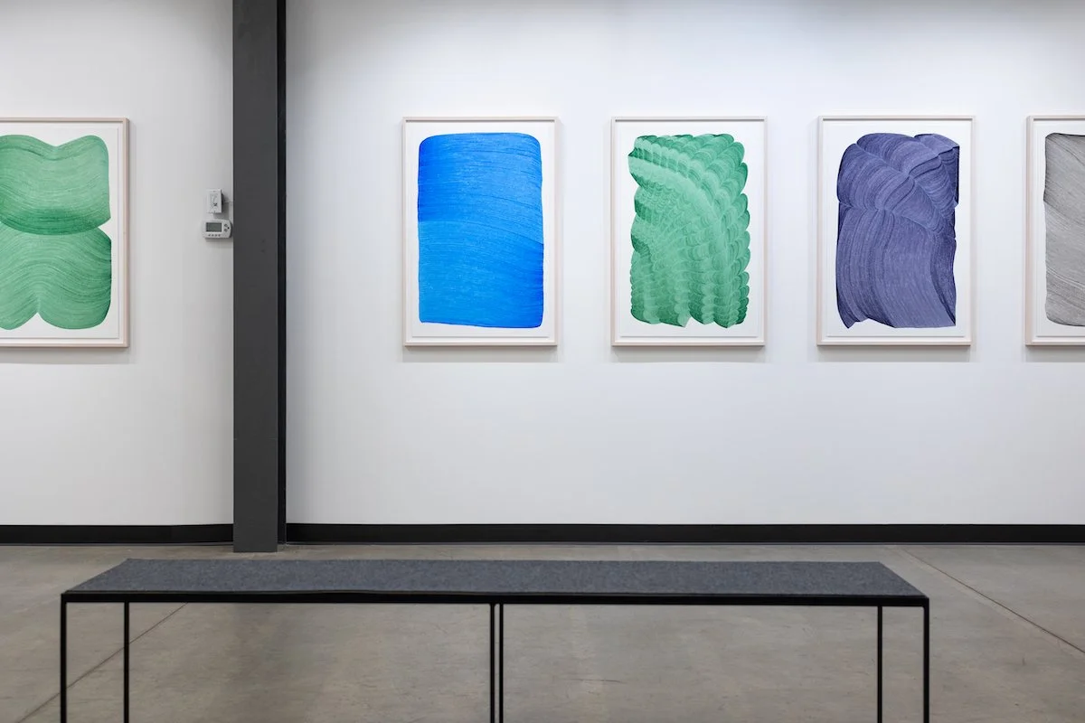 Installation of Dana Piazza's Solo Exhibition of Original Geometric Drawings, 'Processing,' at Soapbox Arts Gallery in Burlington, VT