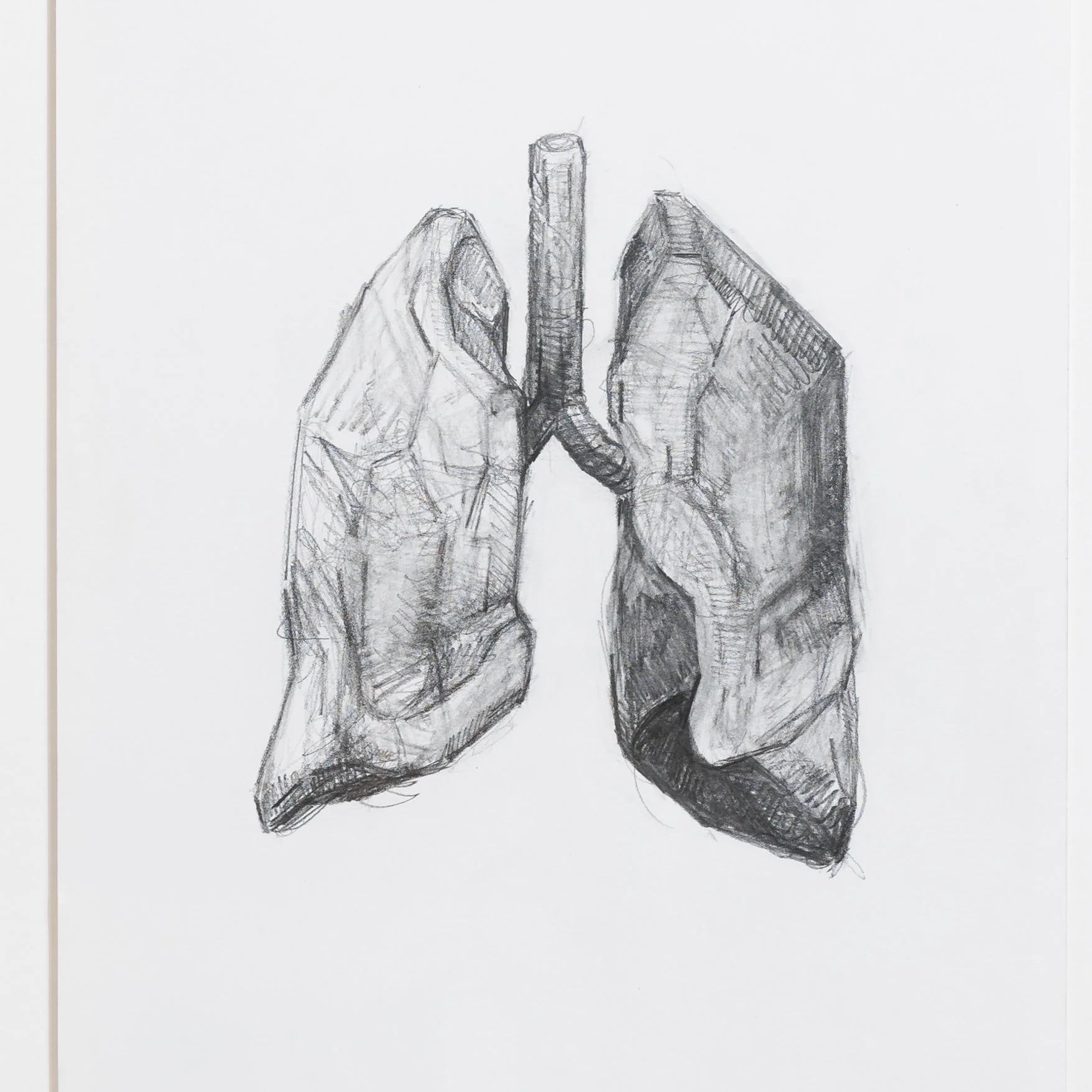 'Lungs' Framed Drawing by Mary Lacy Soapbox Arts Gallery in