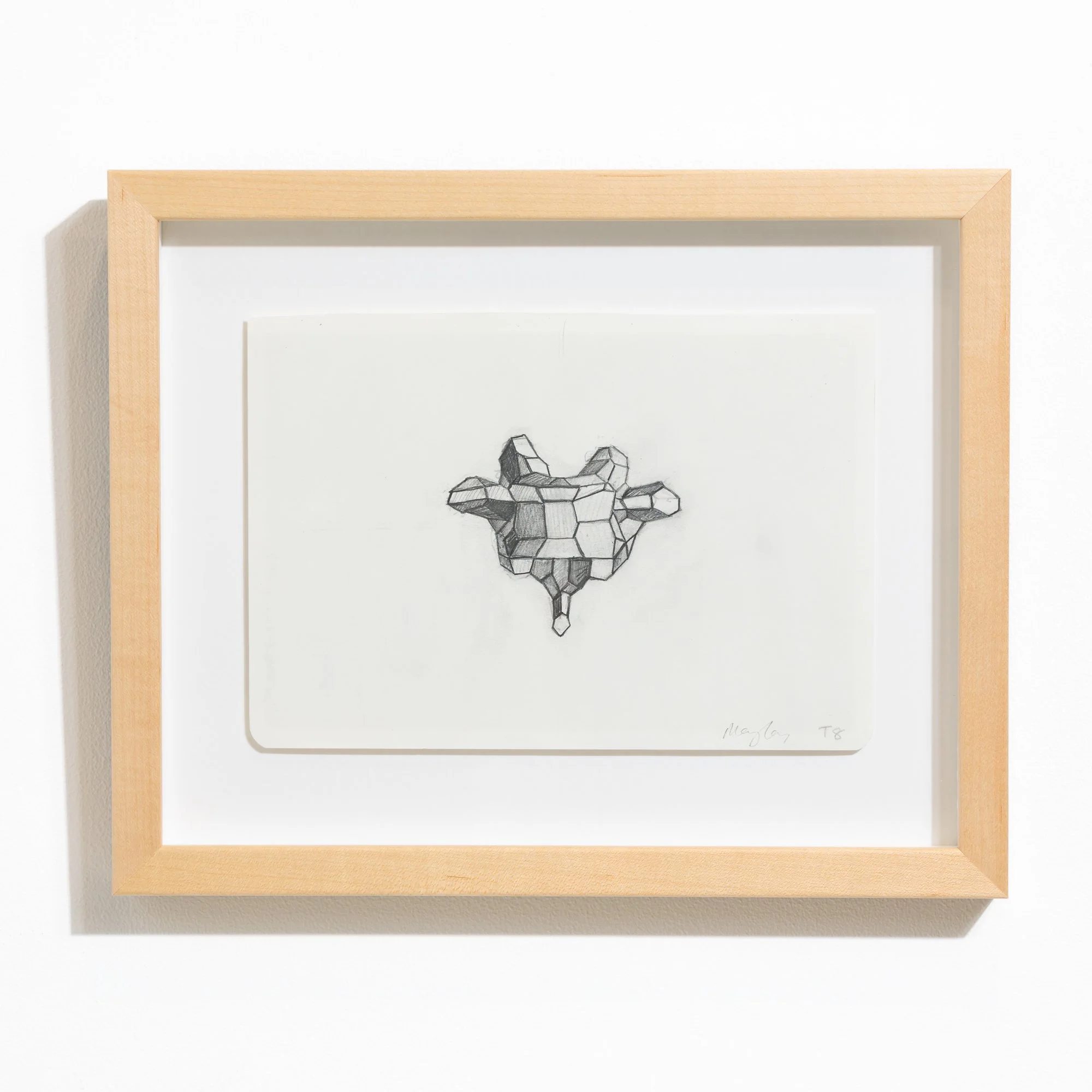 'T8' Framed Drawing by Mary Lacy Soapbox Arts Gallery in Burlington