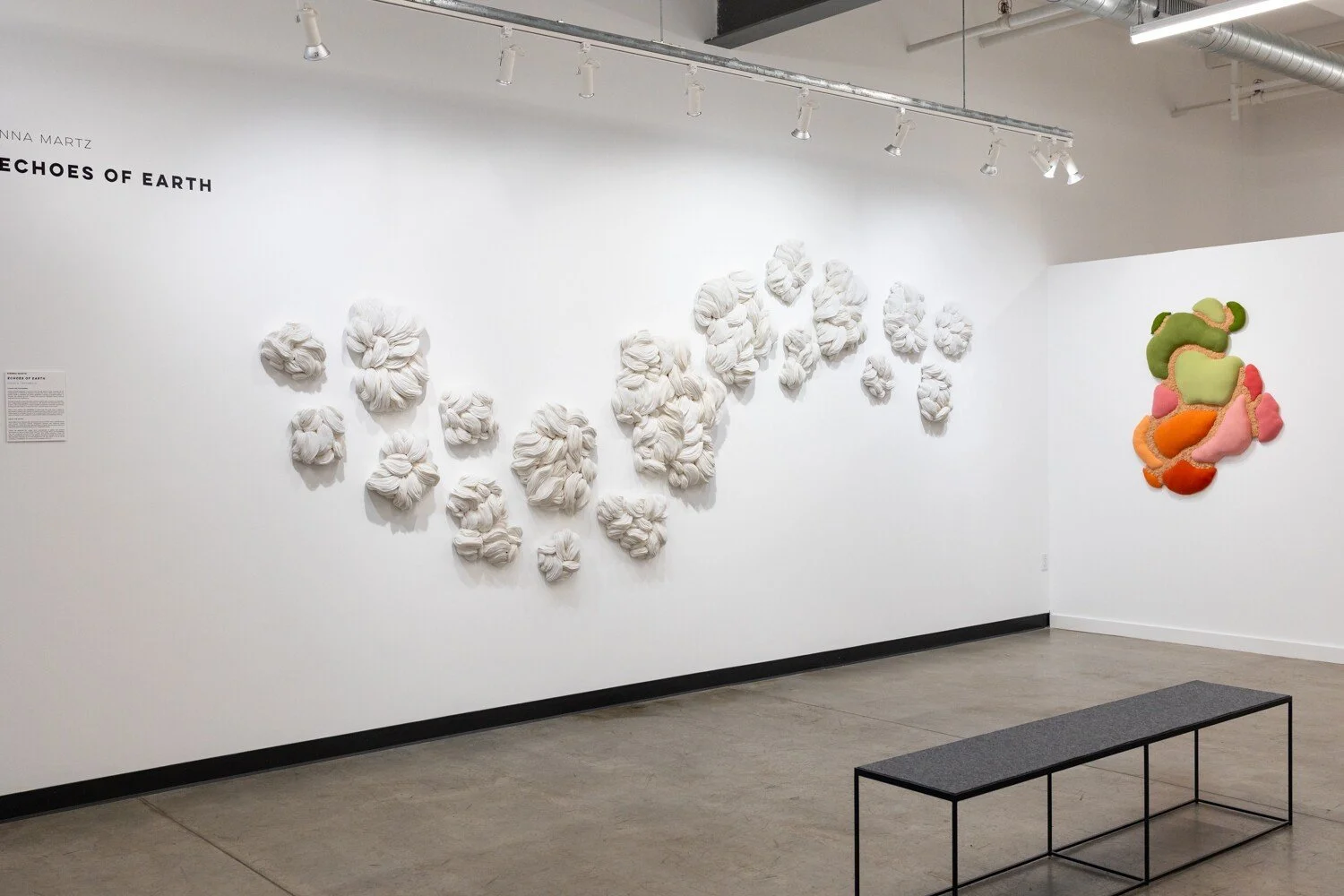 SiennaMartz_SoapboxArts_ExhibitionInstall_5.jpg