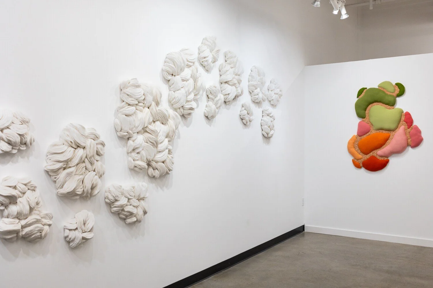 SiennaMartz_SoapboxArts_ExhibitionInstall_9.jpg