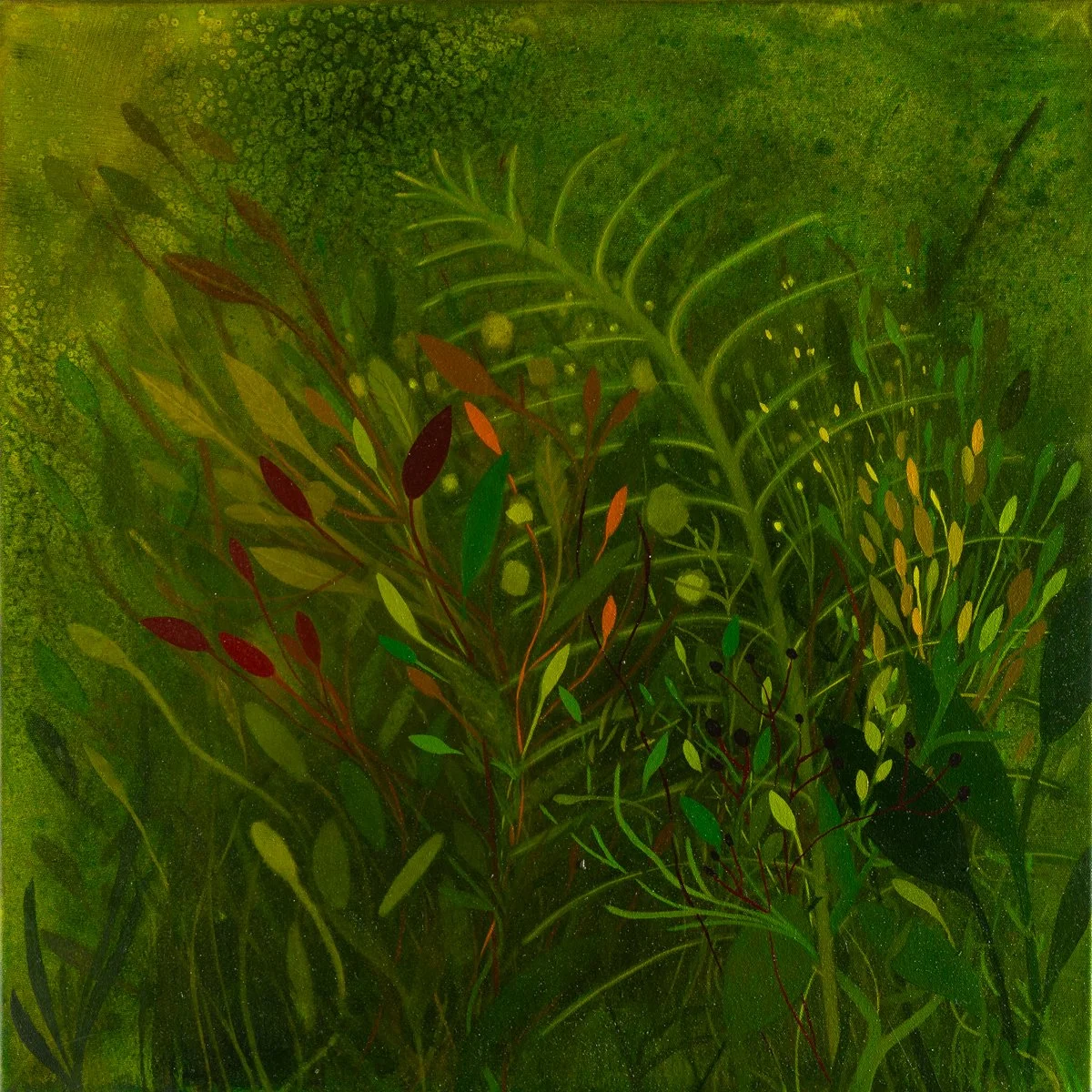 abstract oil paintings inspired by jungle foliage by Sage Tucker-Ketcham available at Soapbox Arts Gallery in Burlington, Vermont