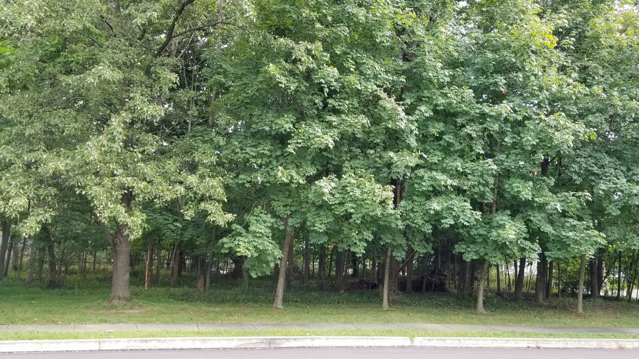 20190830_152040.jpg