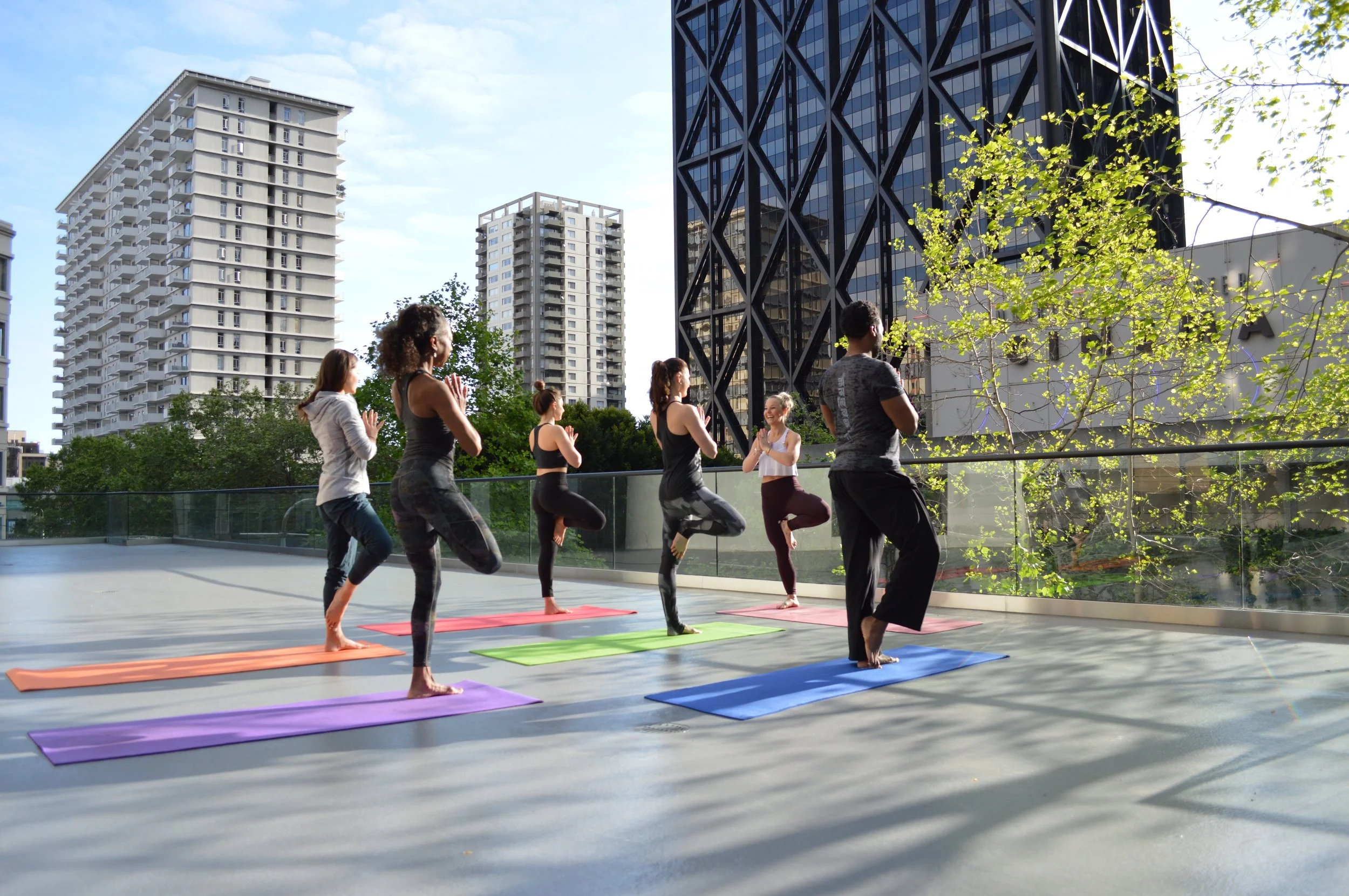 Private and Small Group Yoga.jpg