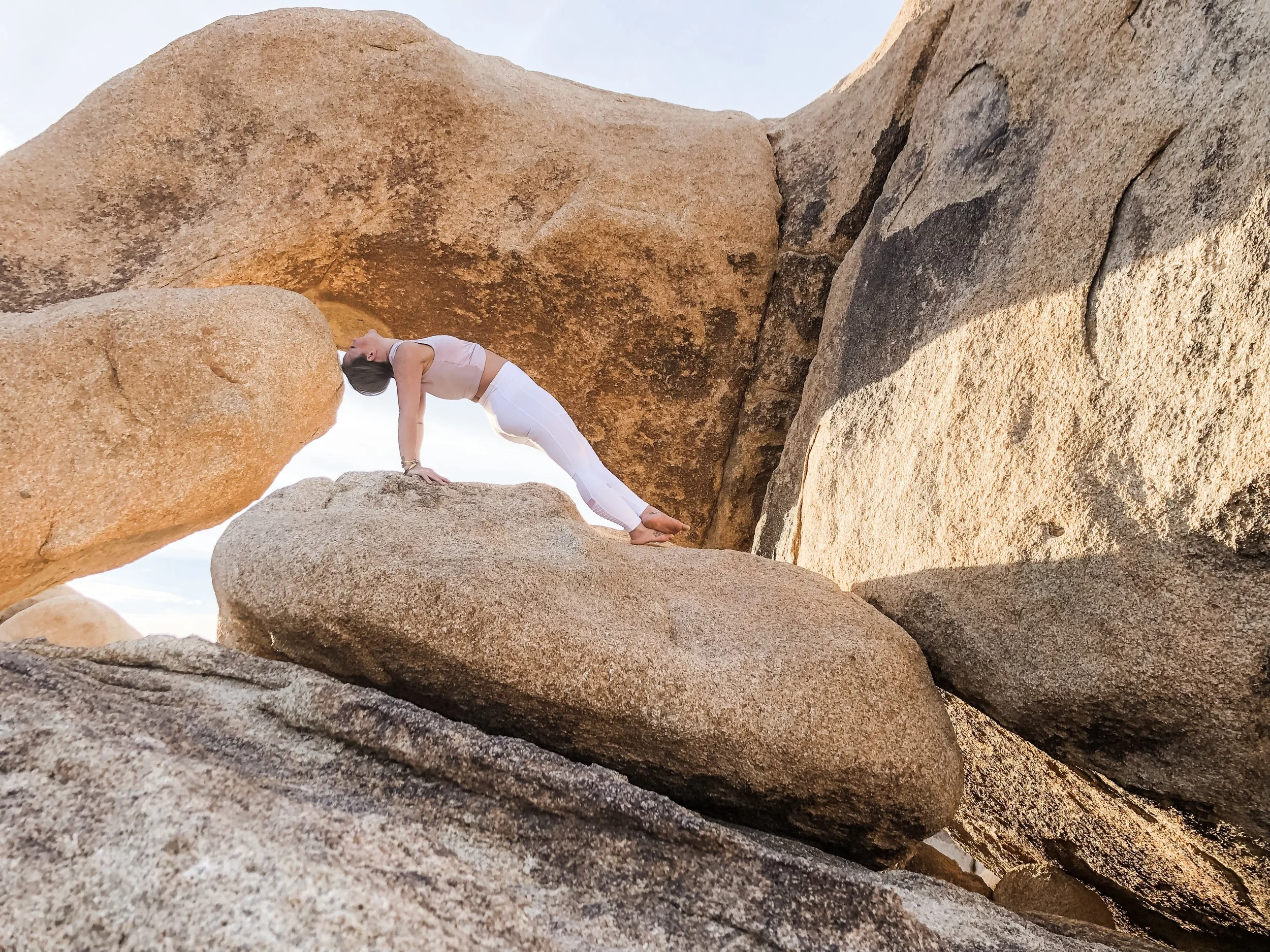 Leaning into our Dreams