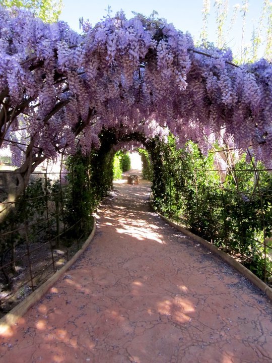 the path into beltran's school