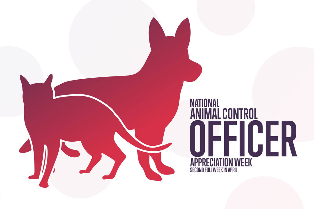 National Animal Control Officer Appreciation Week — Pet Hospitals of Hawaii