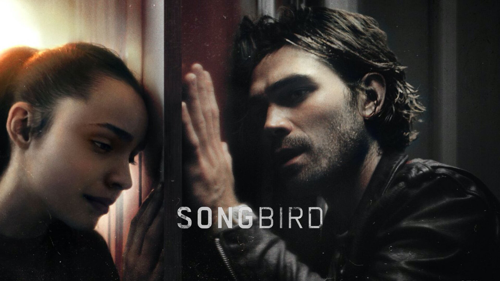 Songbird Campaign