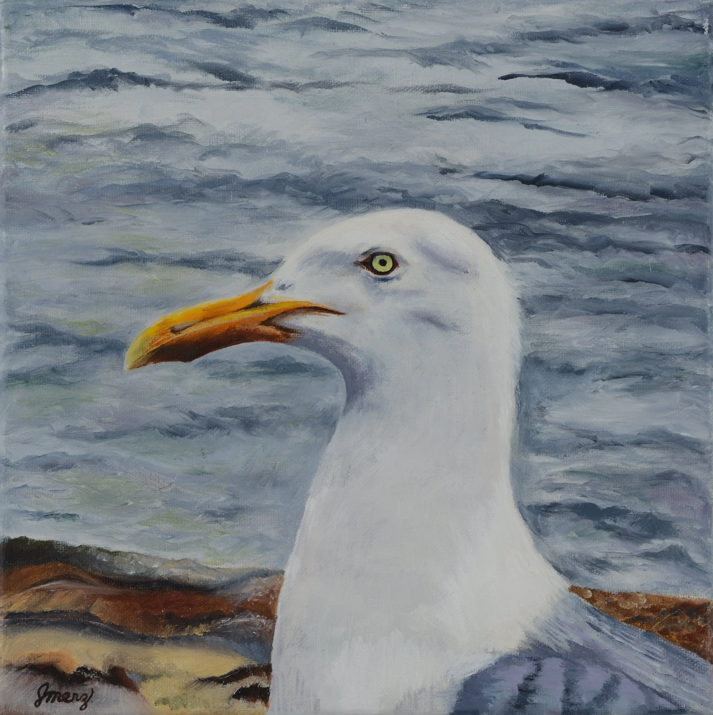JM_Seagull.JPG