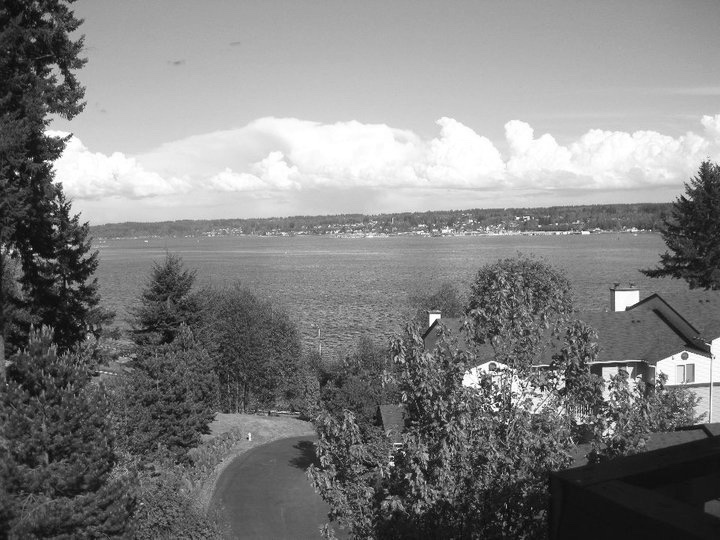 The Panorama Apartments