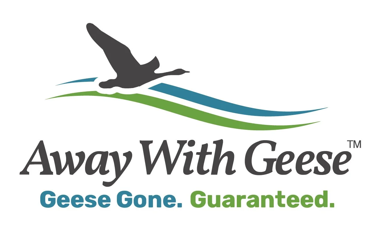 AwayWithGeese-Vertical.jpg