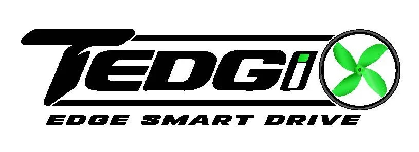 TEDGIX logo.jpg