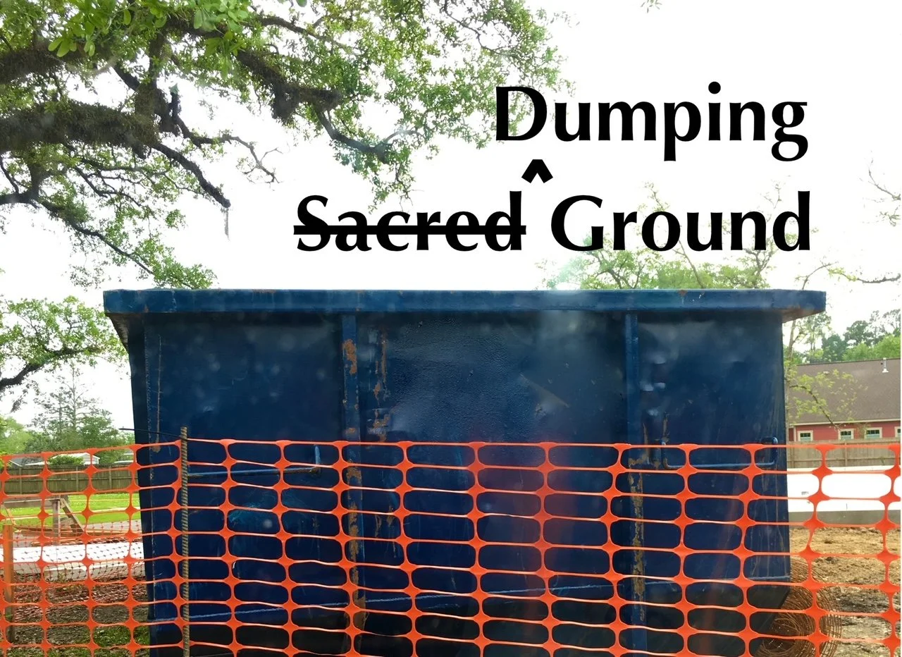 Click below to view THE ECOLOGY OF EVERYTHING, a short film.