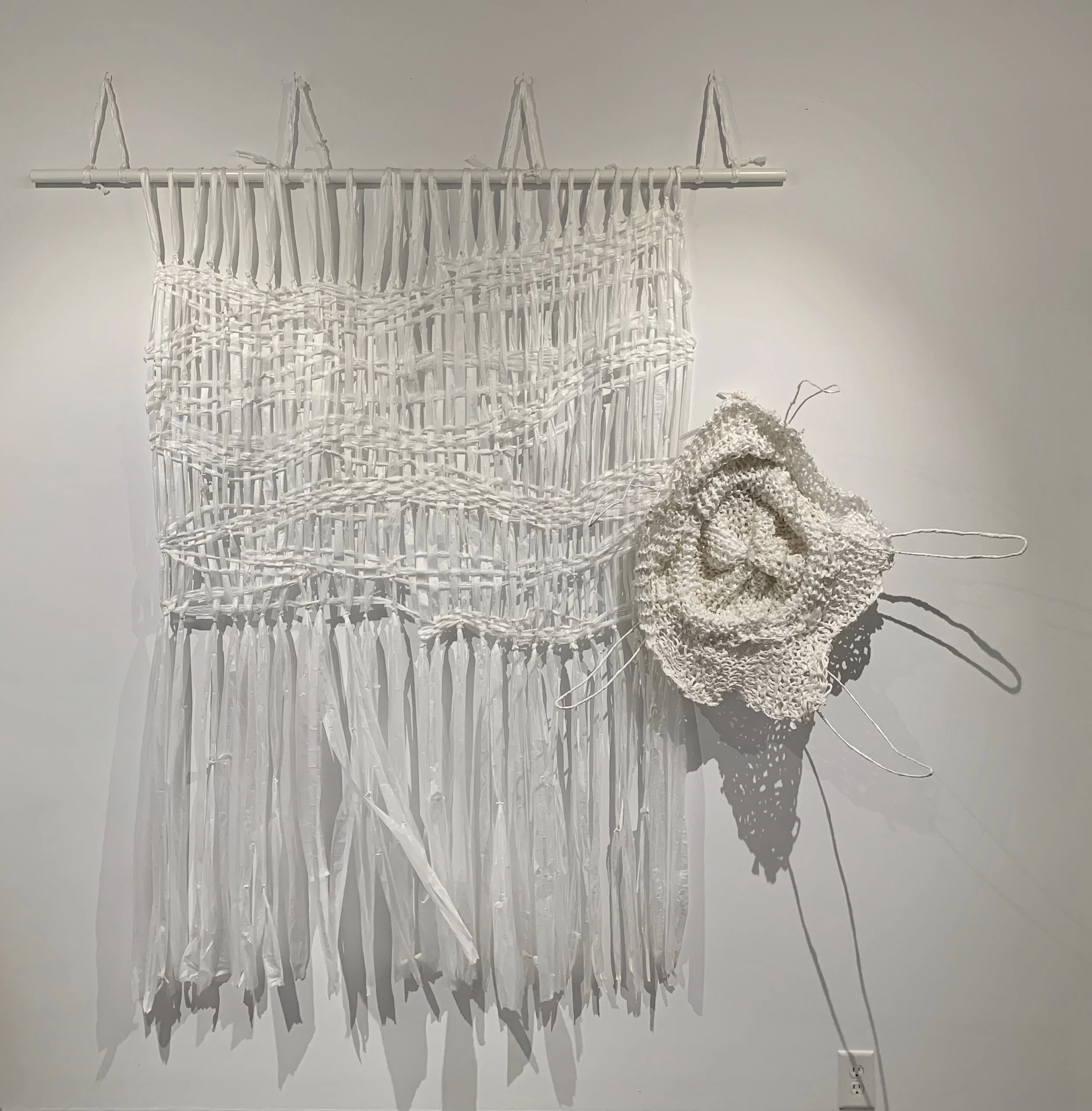 Hanging by a Thread (Shoal Lily)