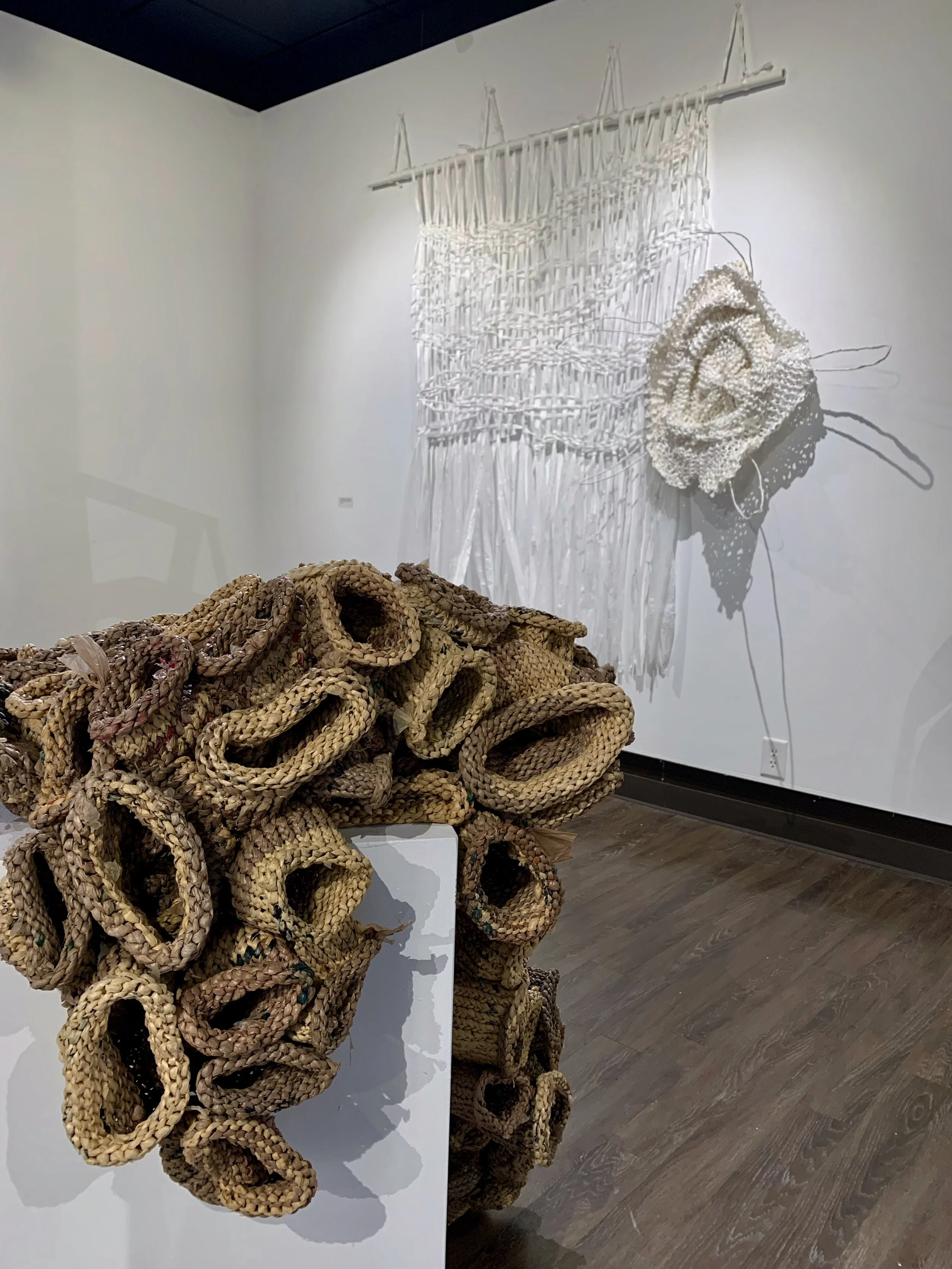 LeahHamel_SDG detail.jpeg