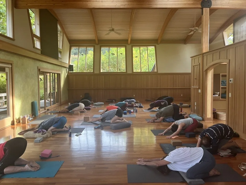 yoga retreat participants lying on the floor in a building at stowel lake farm