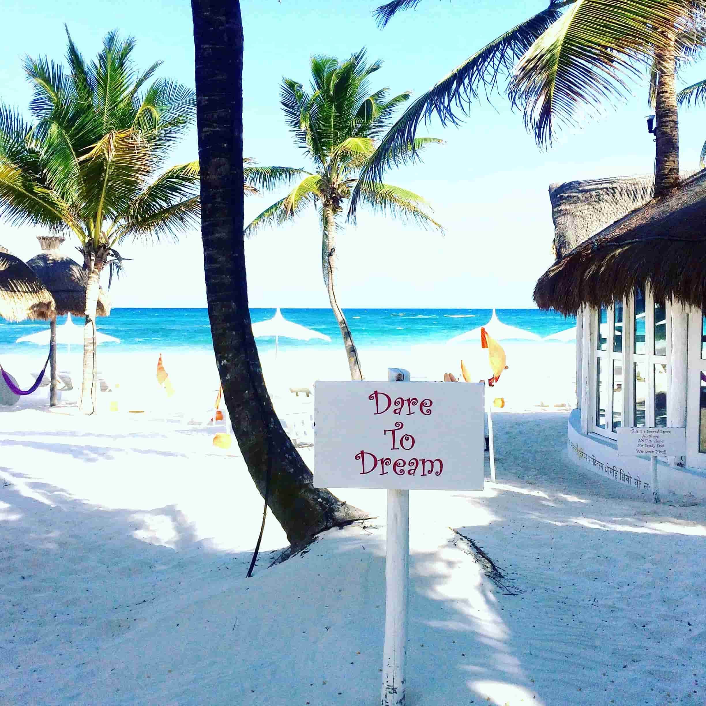dare to dream yoga sign on a white beach with a palm tree