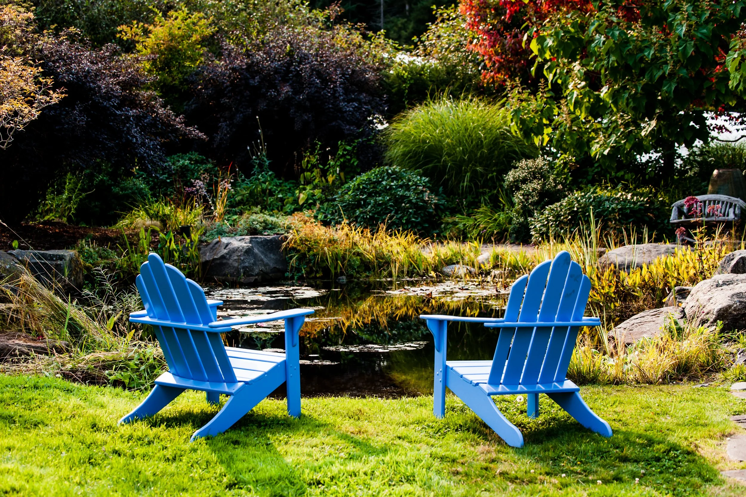 two blue chairs overlooking a pond at stowell lake yoga retreat