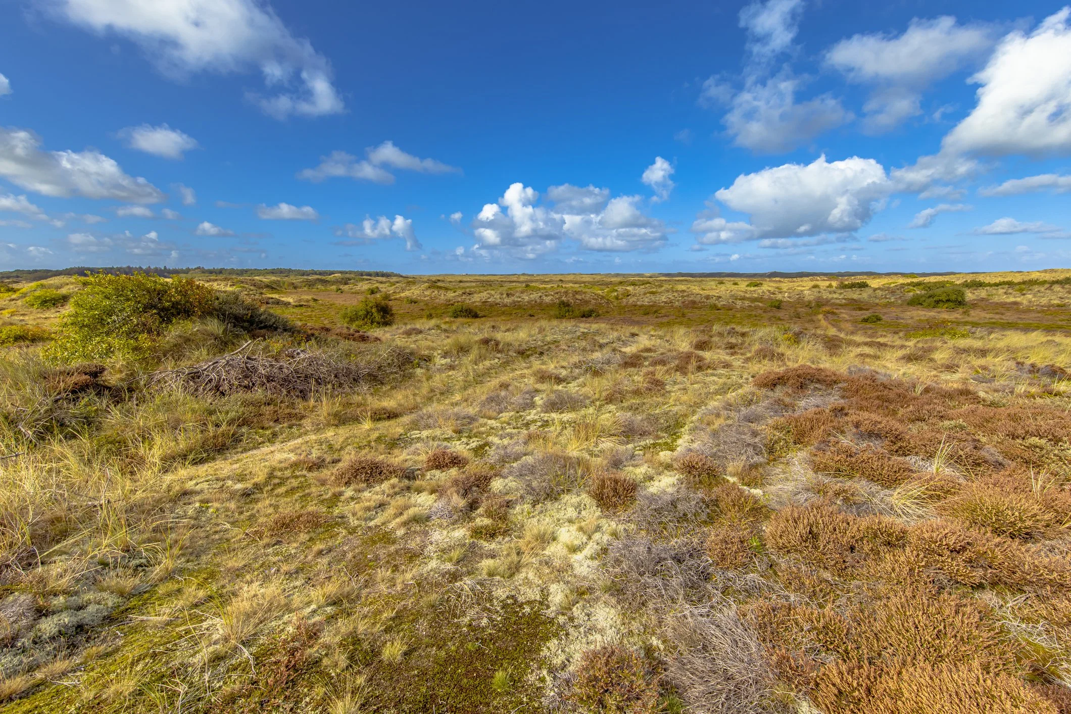 nature reserve in terschelling