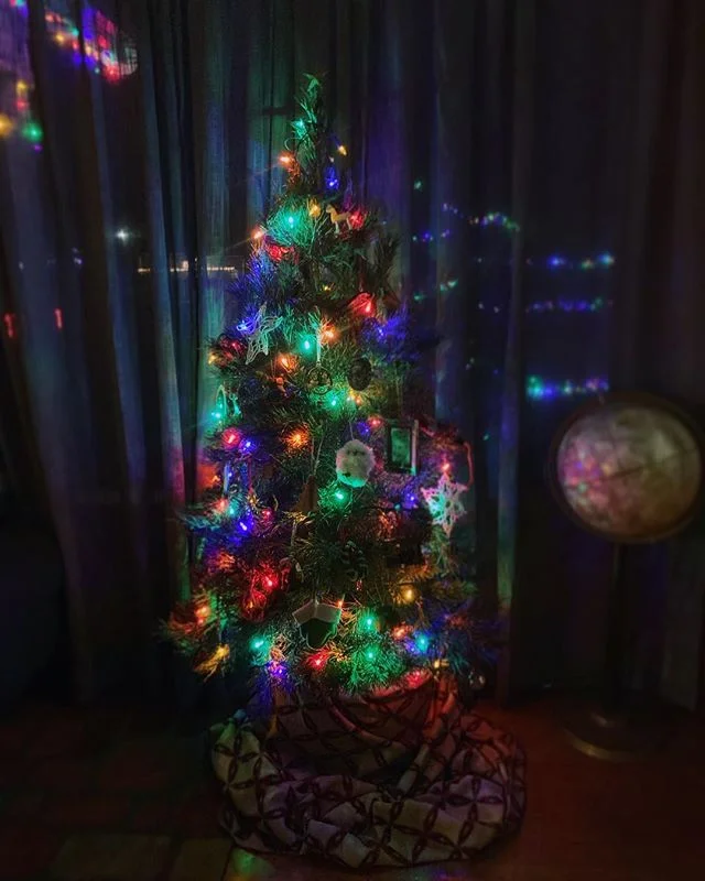 Tree is up! New tradition we&rsquo;re starting with our first year in our home is to buy live trees then plant them on our property after their holiday duties are fulfilled. ☺️🎄Year 1 is a Scotch Pine! #evergreenstate #conifer #christmastree #tisthe