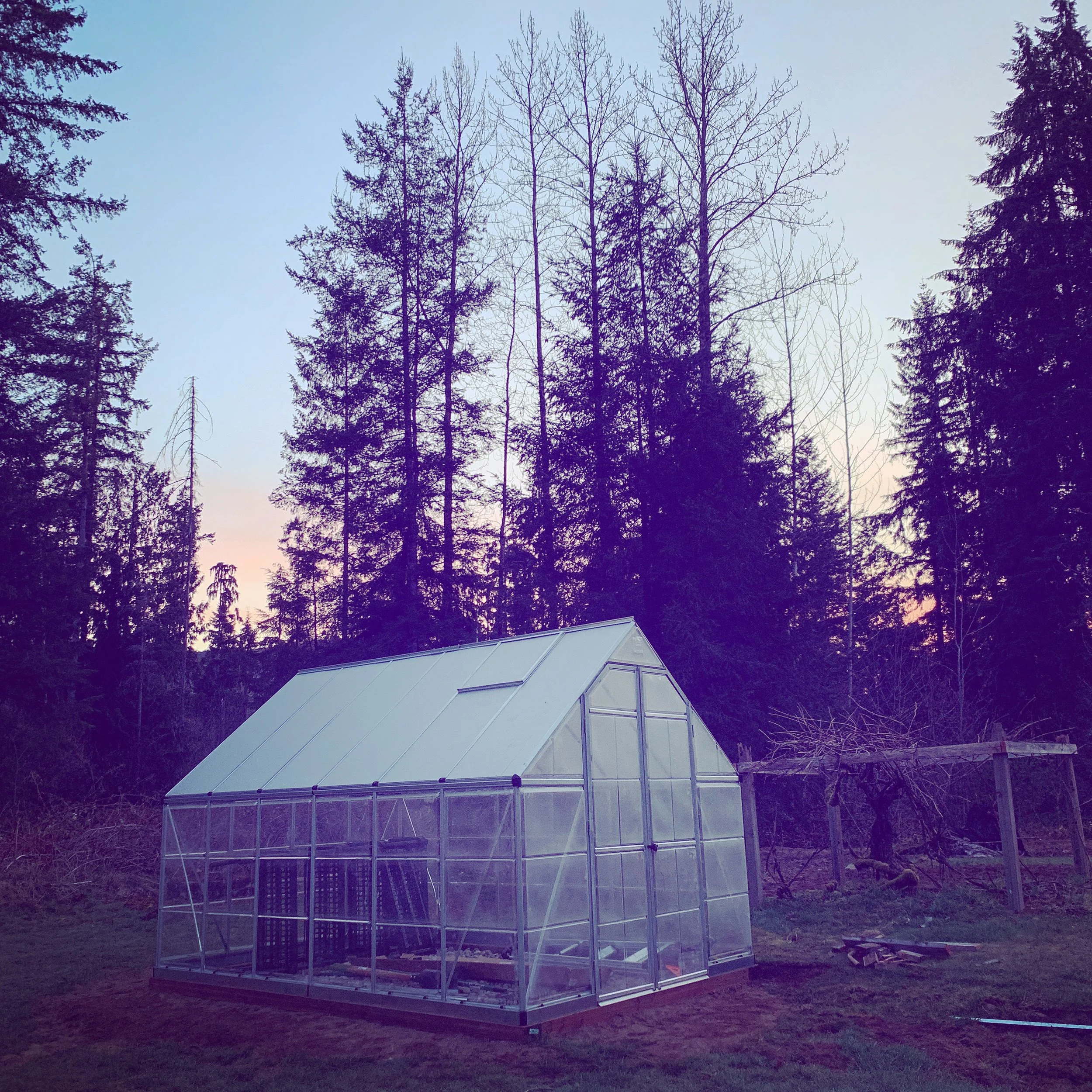 greenhouse.jpg