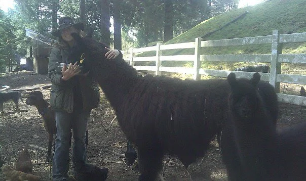 Liz and llamas.jpg