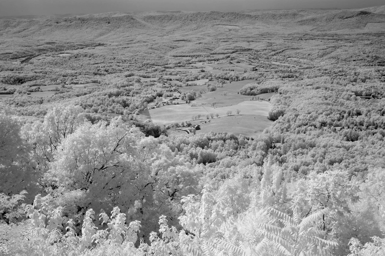 IMG_4913_b_w.jpg