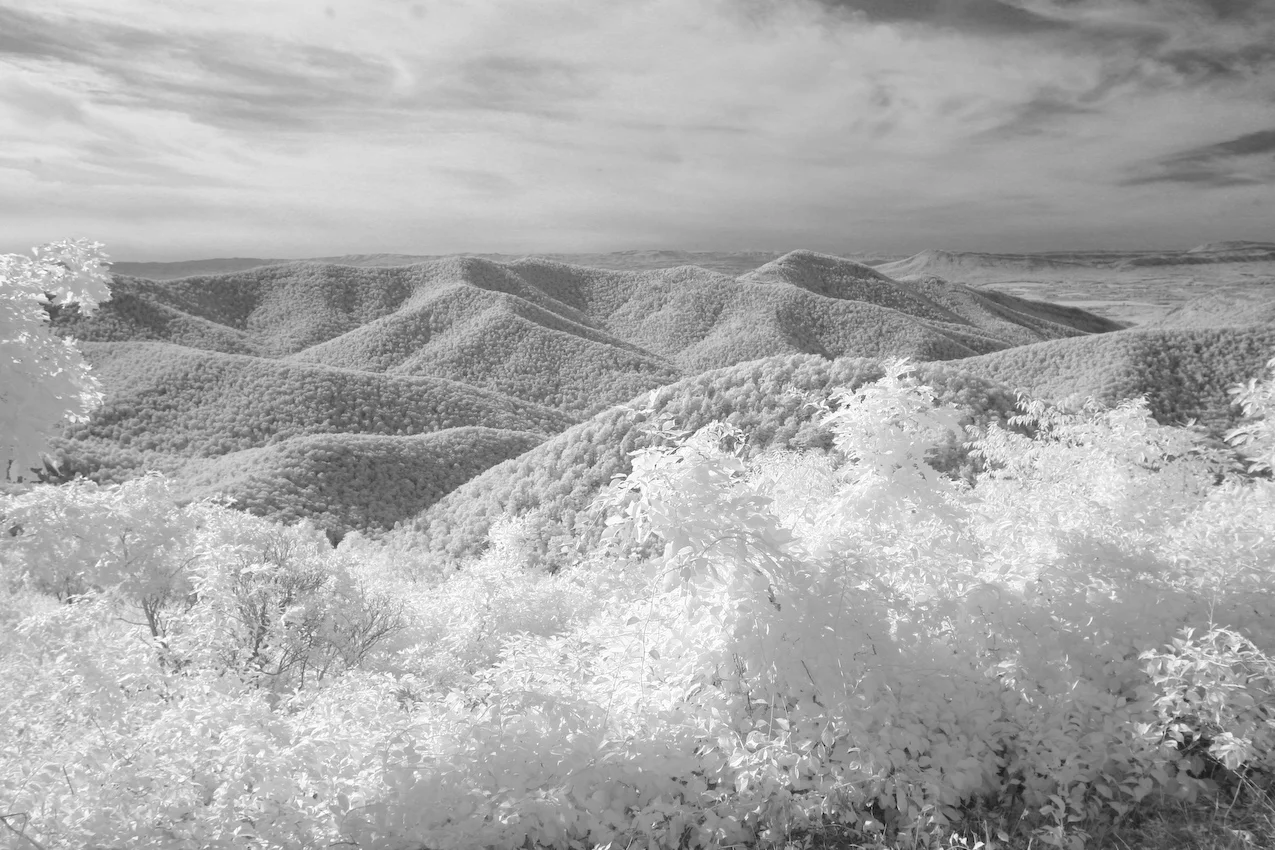 IMG_4844_b_w.jpg