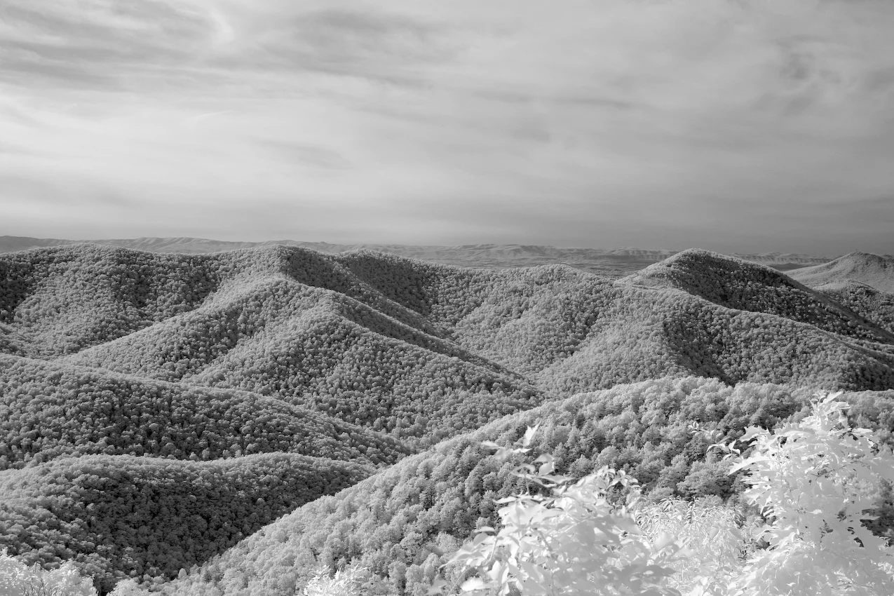 IMG_4843_b_w.jpg