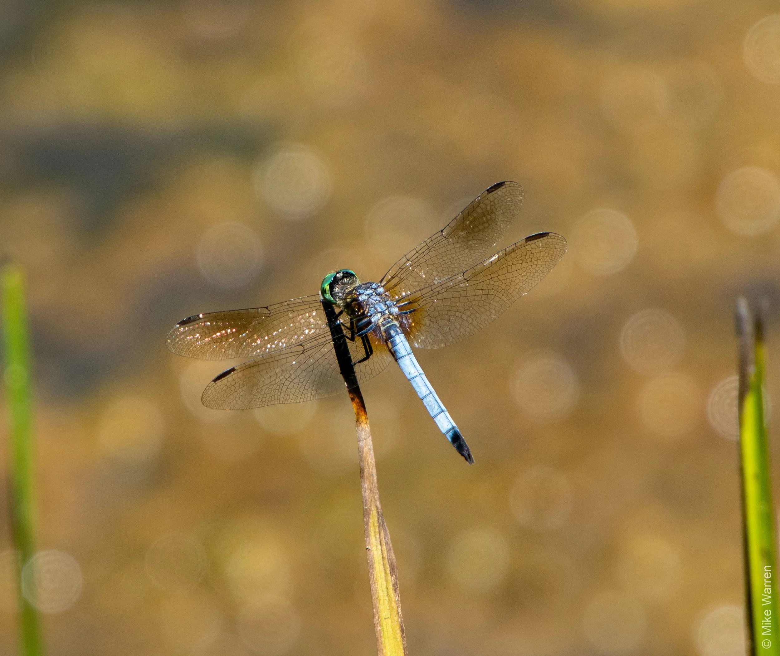 326A6932.jpg