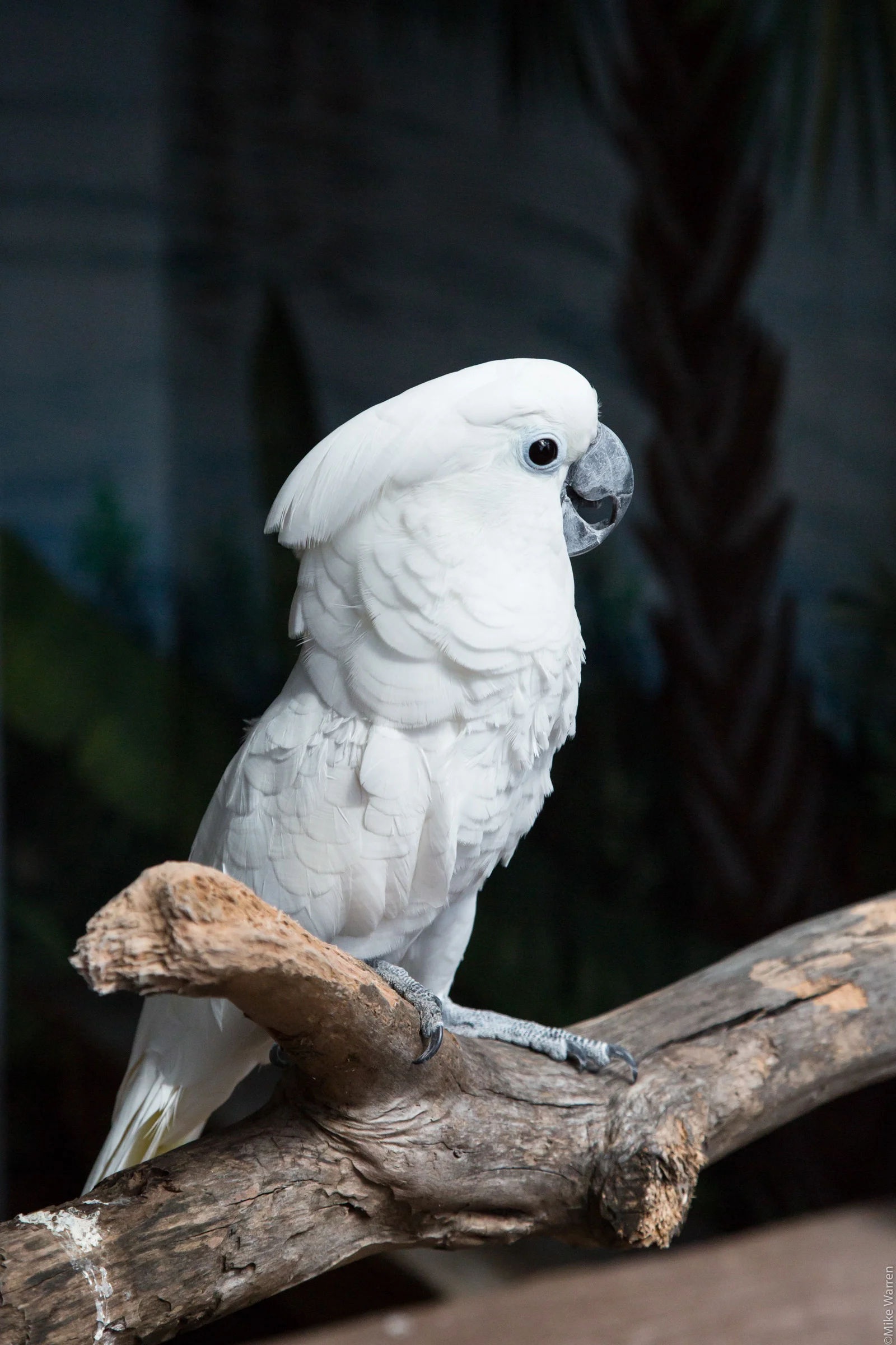 gatorland-2.jpg