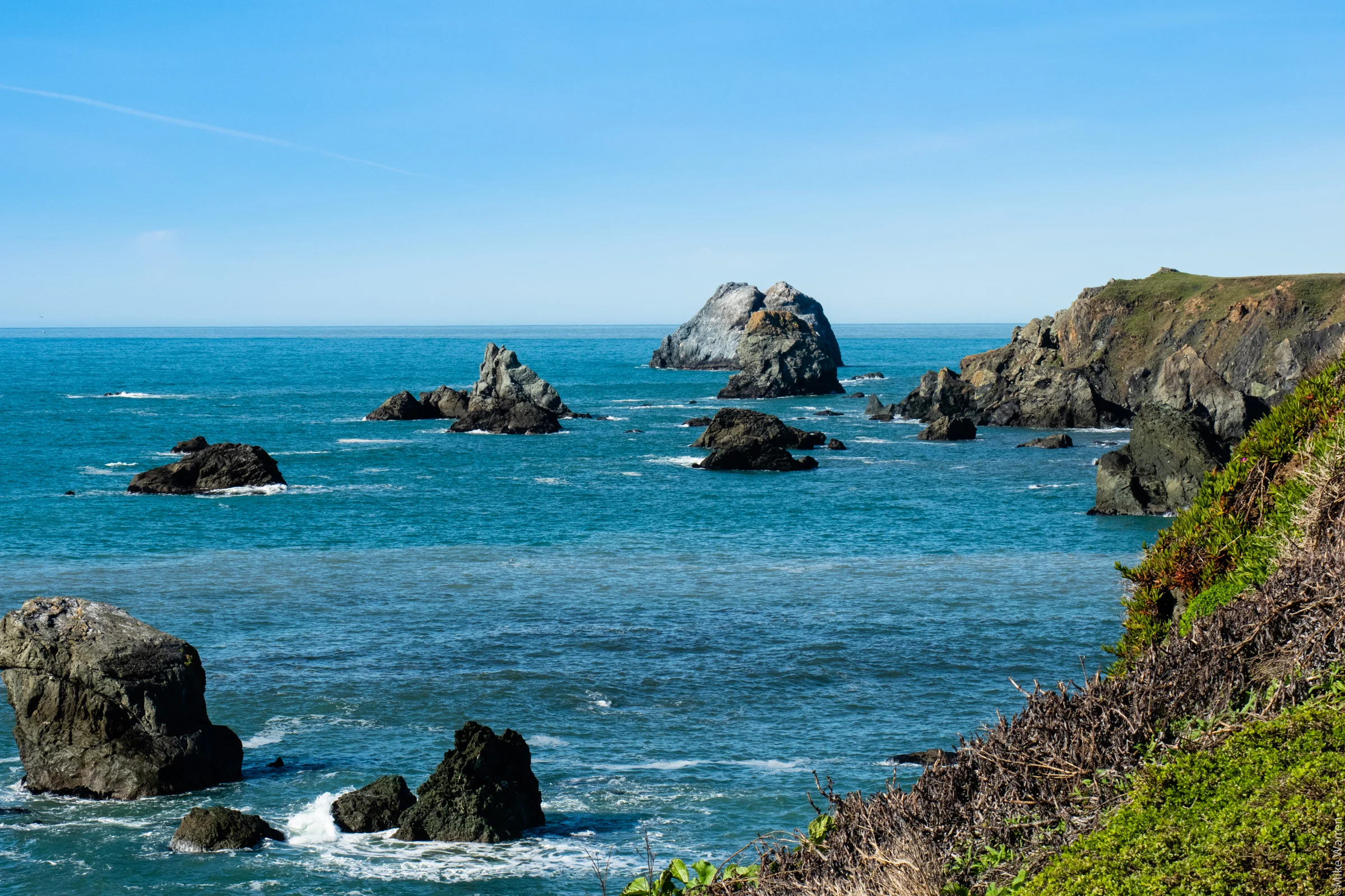 Coastline - Sonoma County, California