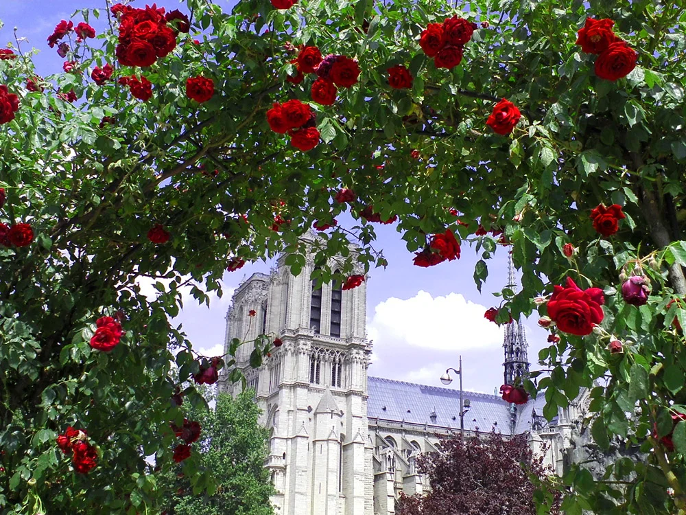 Photo from May of 2011, from the Left Bank, near Shakespeare & Co.
