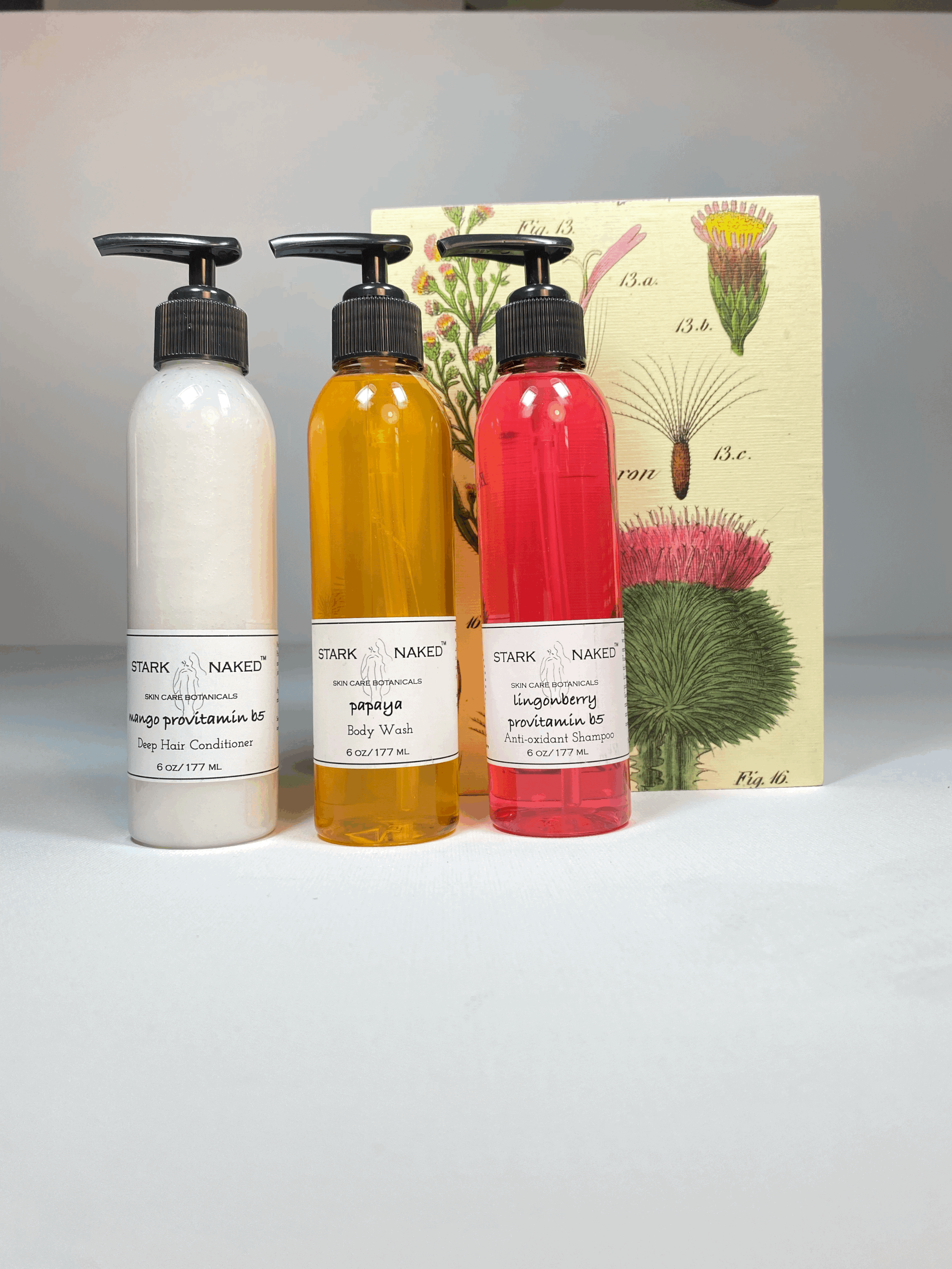 Step 1 - Hair - Lingonberry Provitamin B5 Shampoo