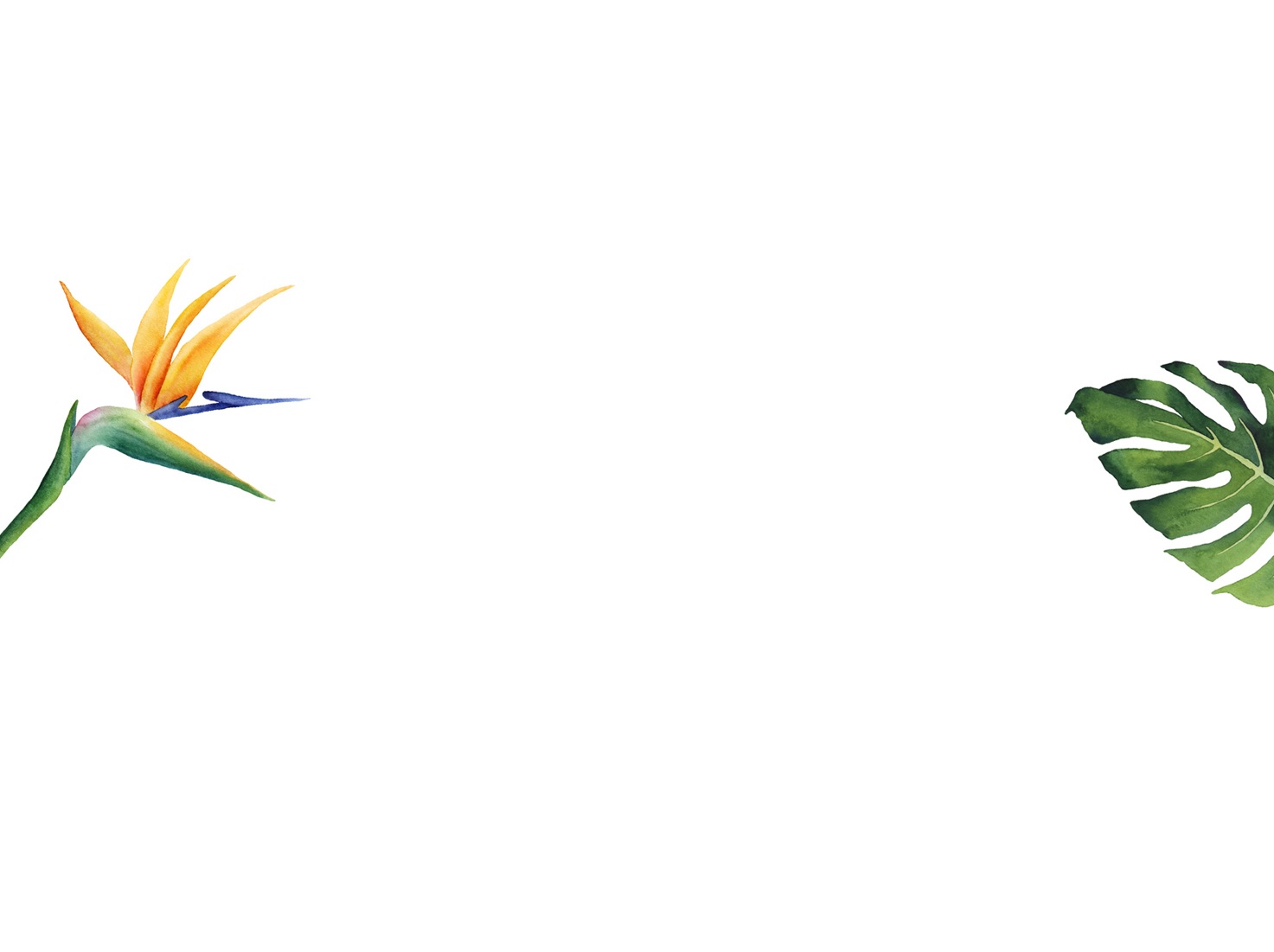 1+copy+2+copy.jpg