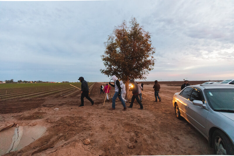 Migrant Farm Workers - Catholic Charities Diocese of San Diego