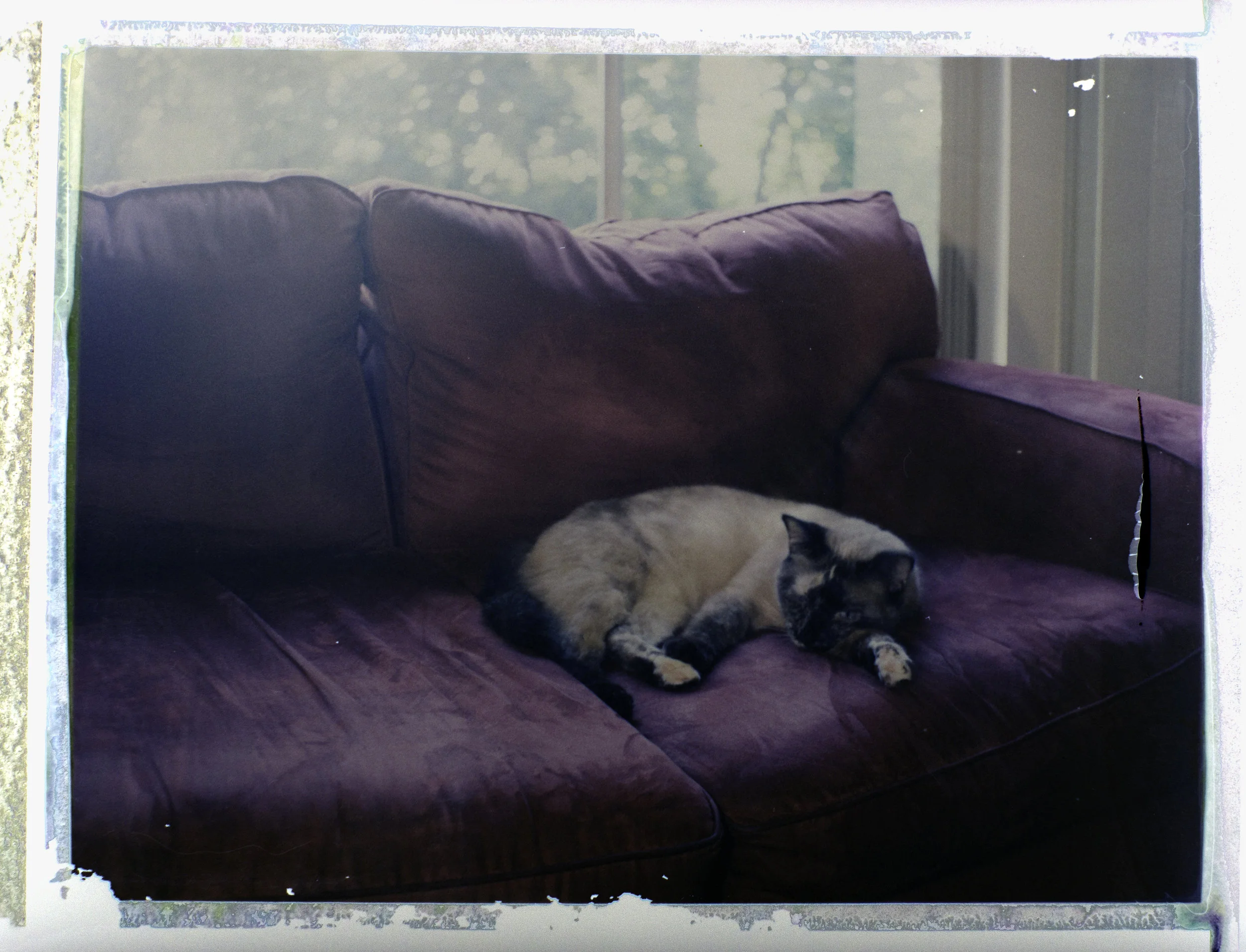 polaroid1.jpg