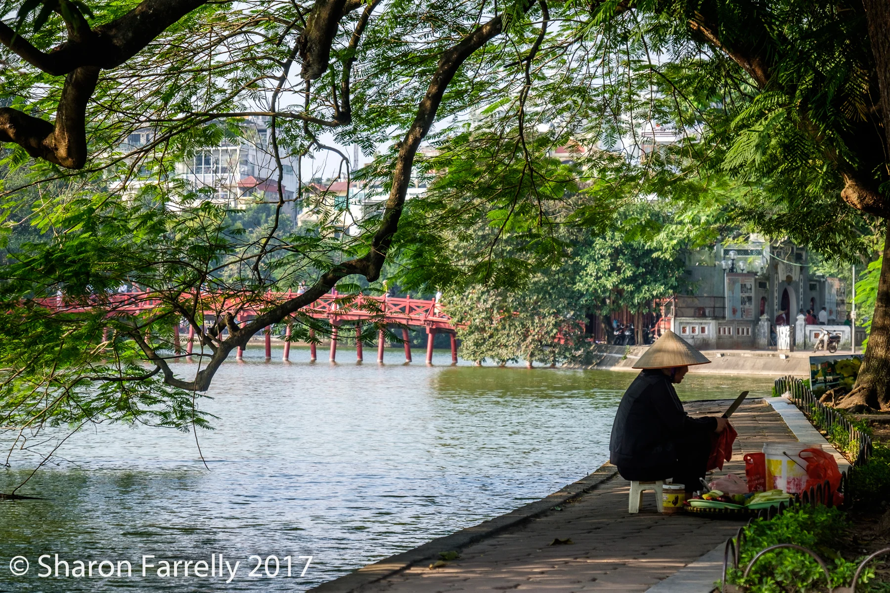 Hanoi-2017-0454.jpg