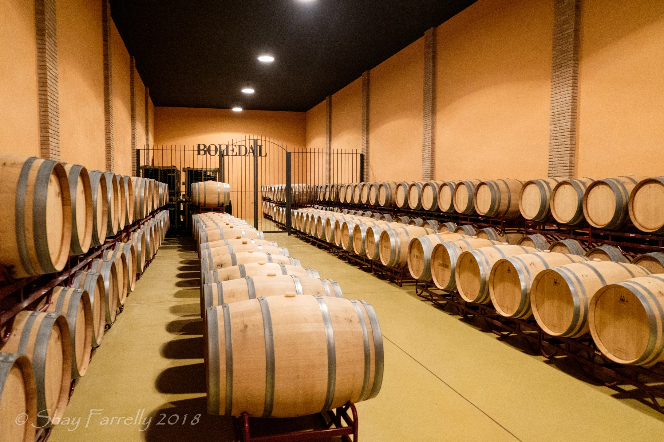 La Rioja-6.jpg