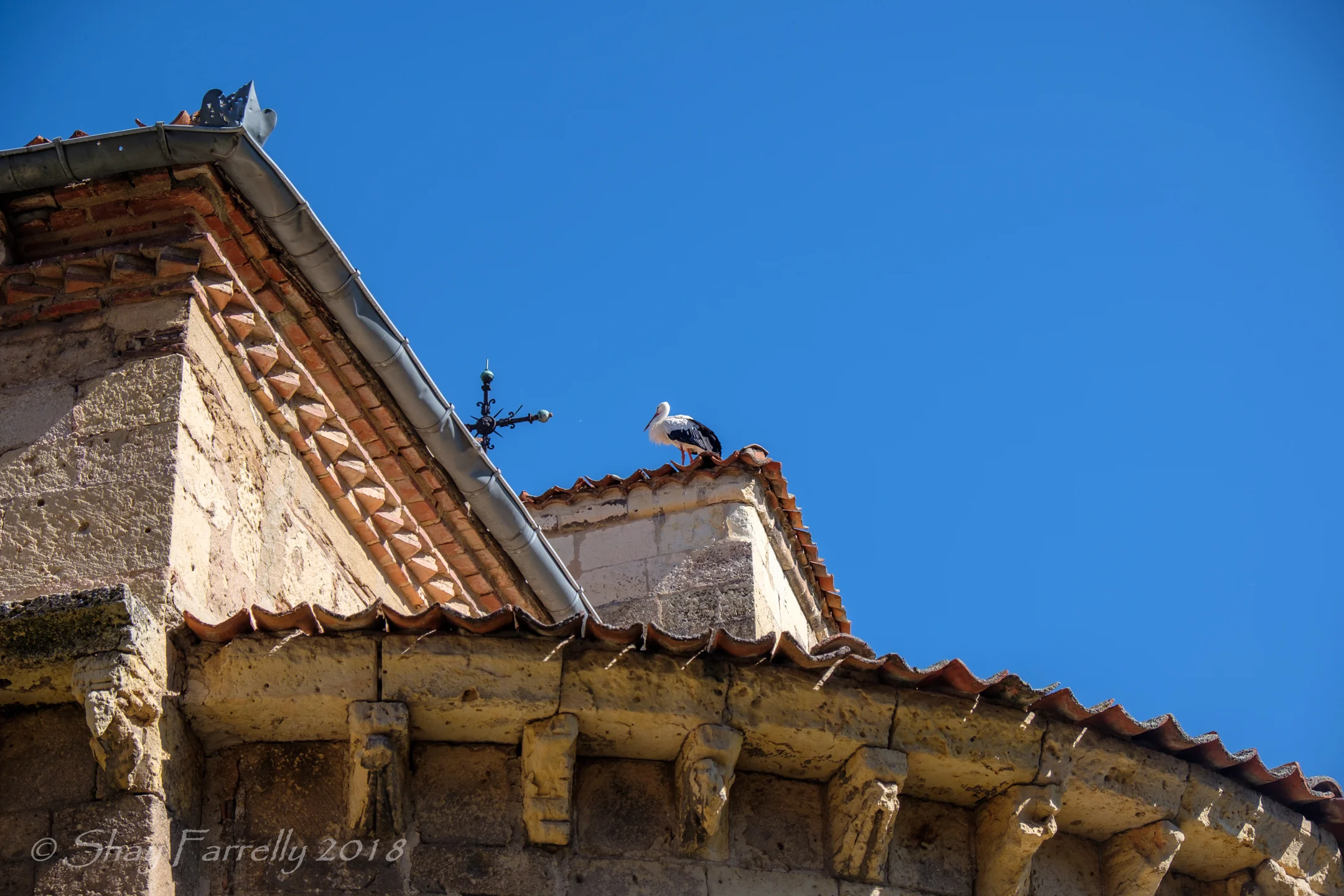 Segovia-29.jpg